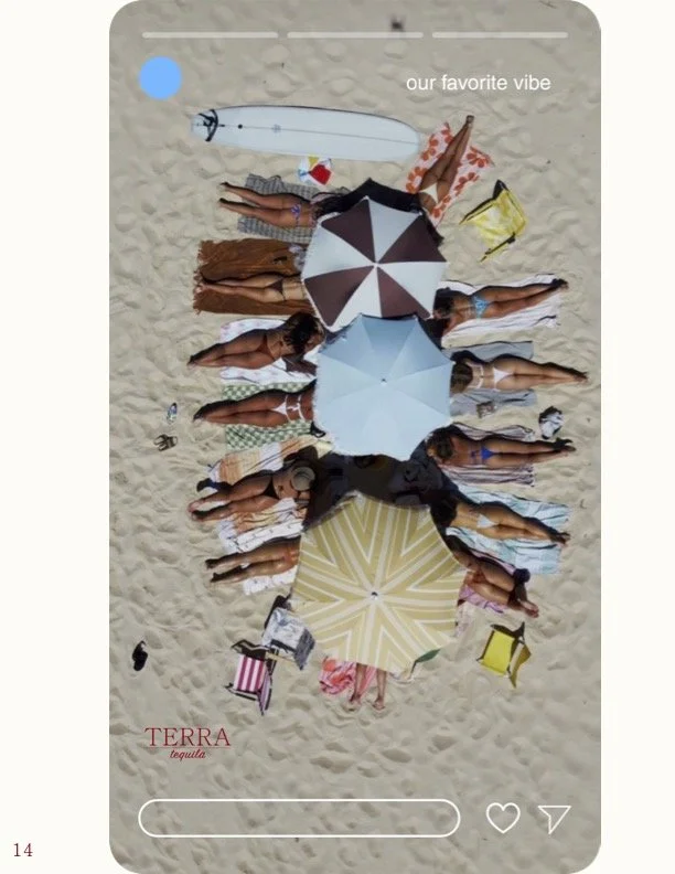 Final Project - Terra Tequila 16.jpg