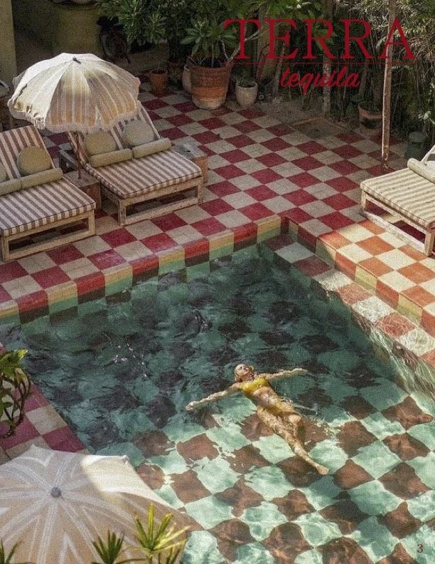 Final Project - Terra Tequila 3.jpg