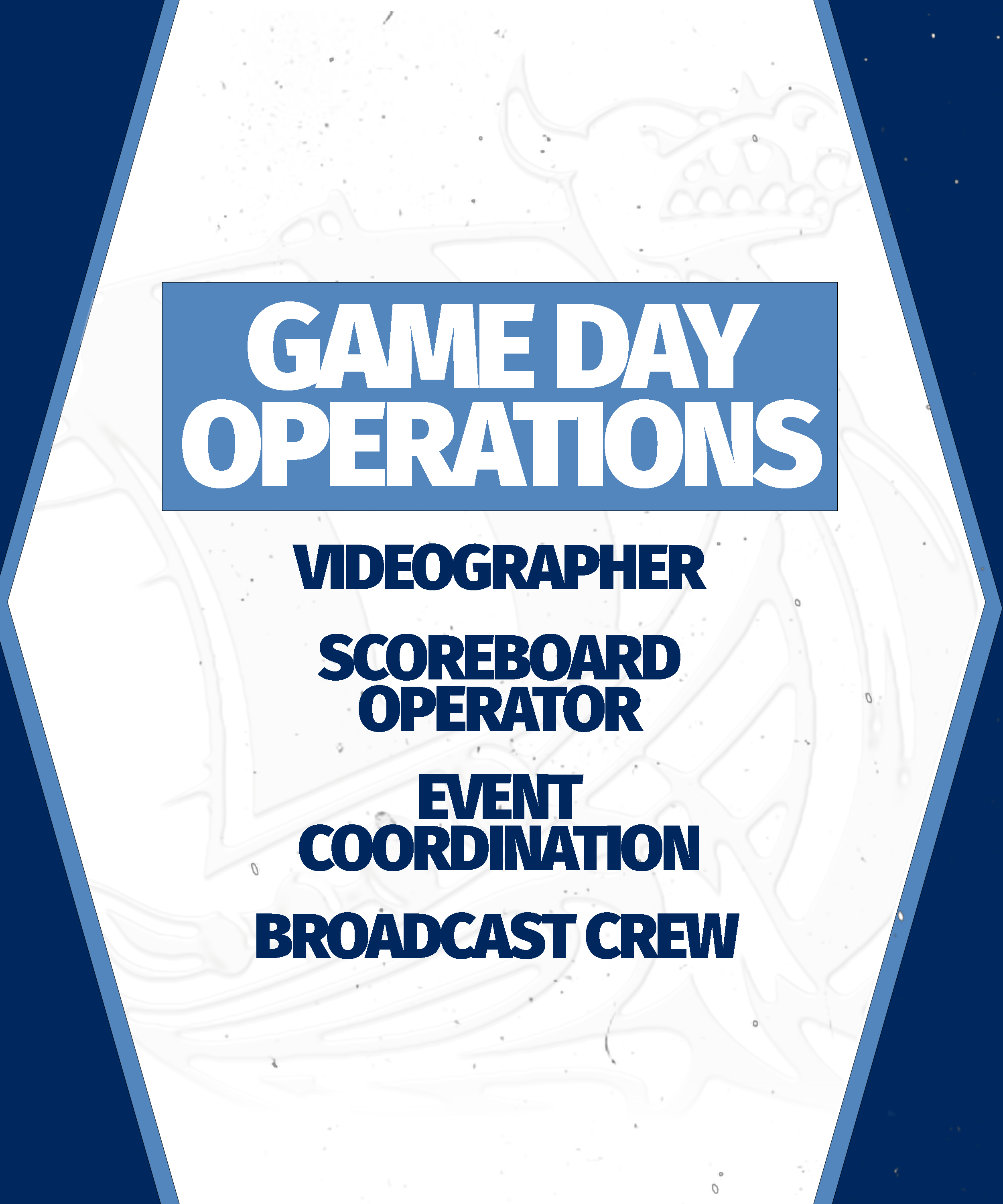 OPS PAGE.png