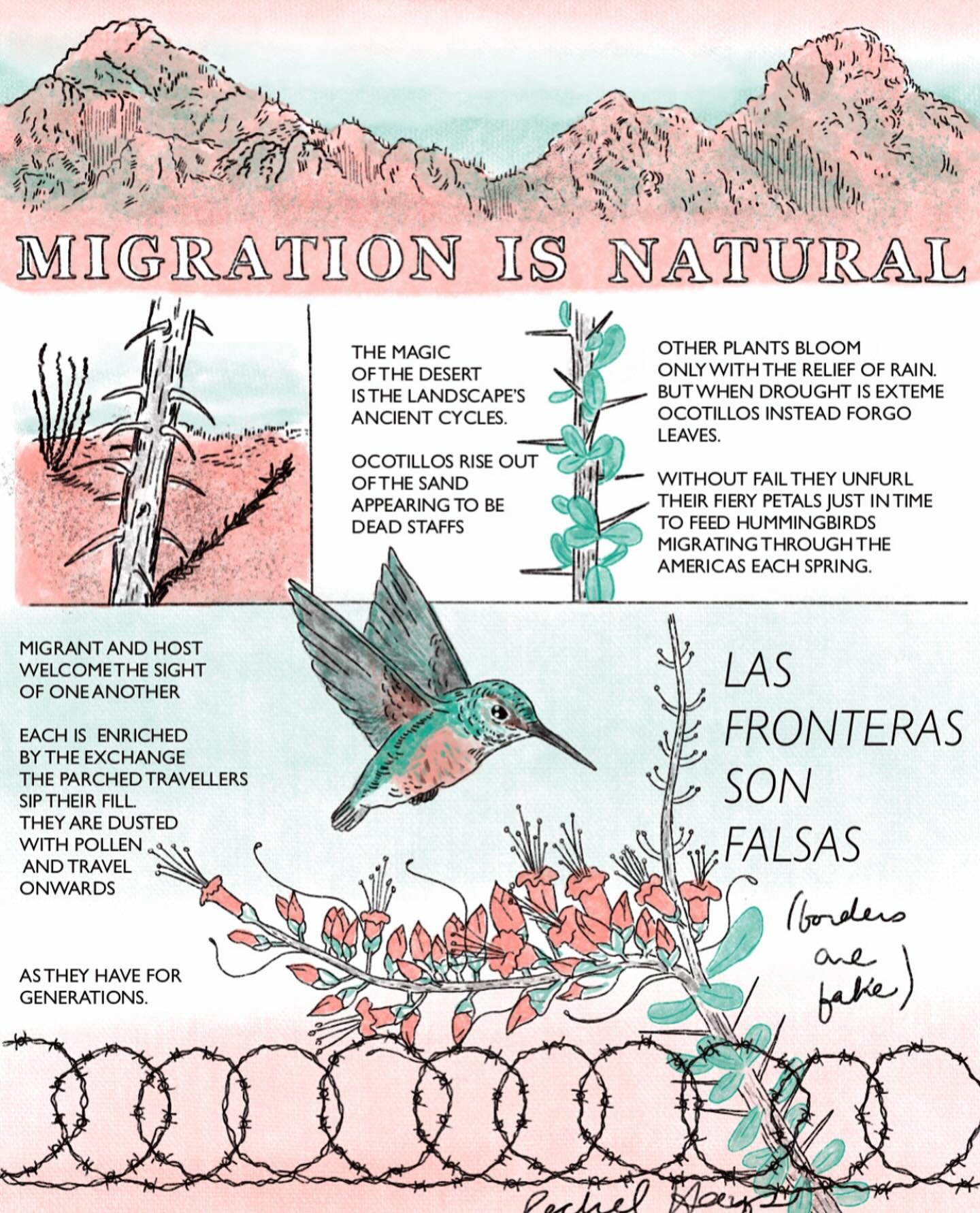 Migration is natural and ICE is an affront to the sanctity of life itself. The Academy&rsquo;s mission to regenerate the natural world includes protecting immigrants regardless of legal status or documentation. It means being a safe place for the com