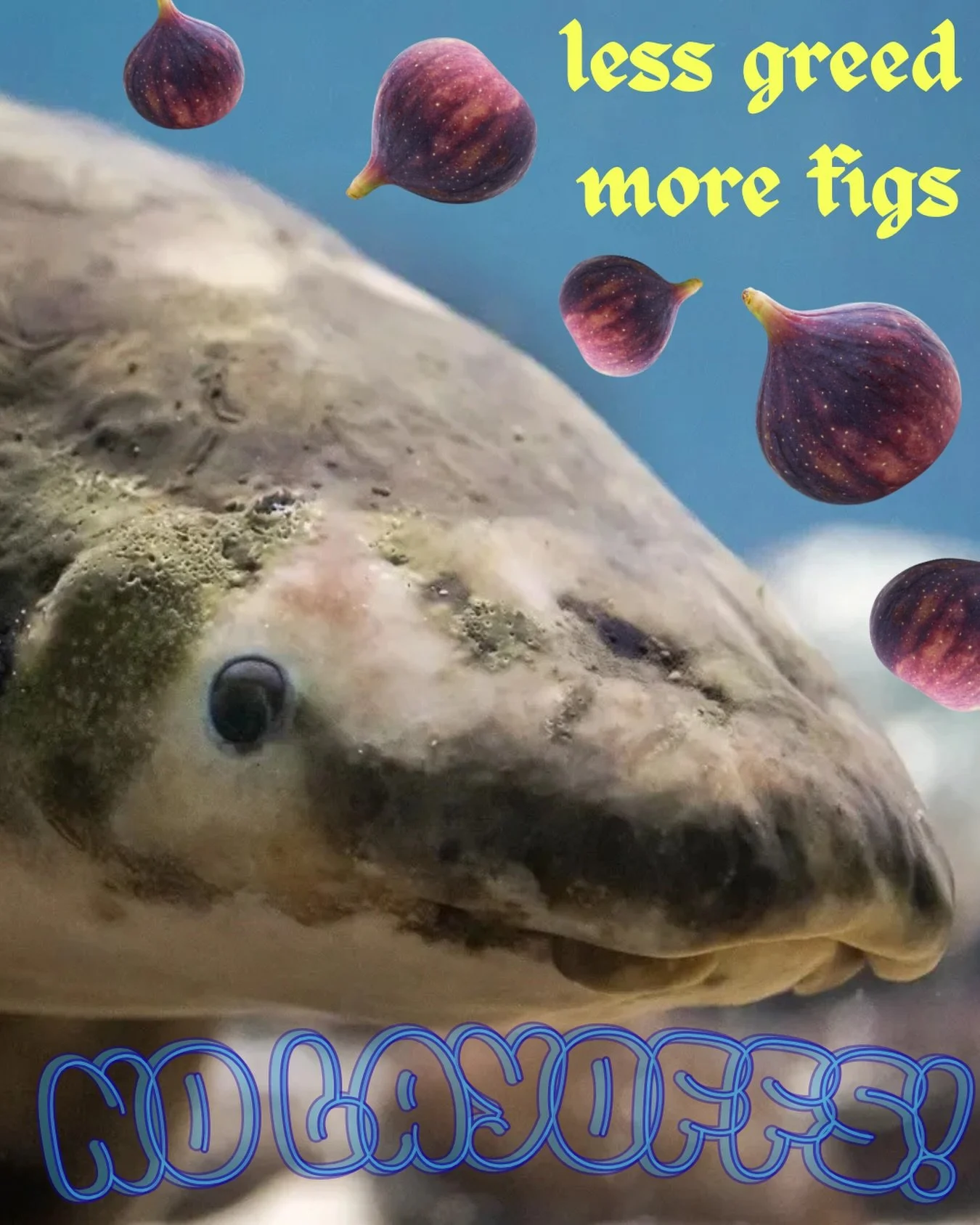 Don&rsquo;t let corporate greed destroy the Academy! Every executive six-figure bonus takes money outta our paychecks and figs outta Methuselah&rsquo;s mouth. #SAVECALACADEMY #CHOPFROMTHETOP #NOLAYOFFS