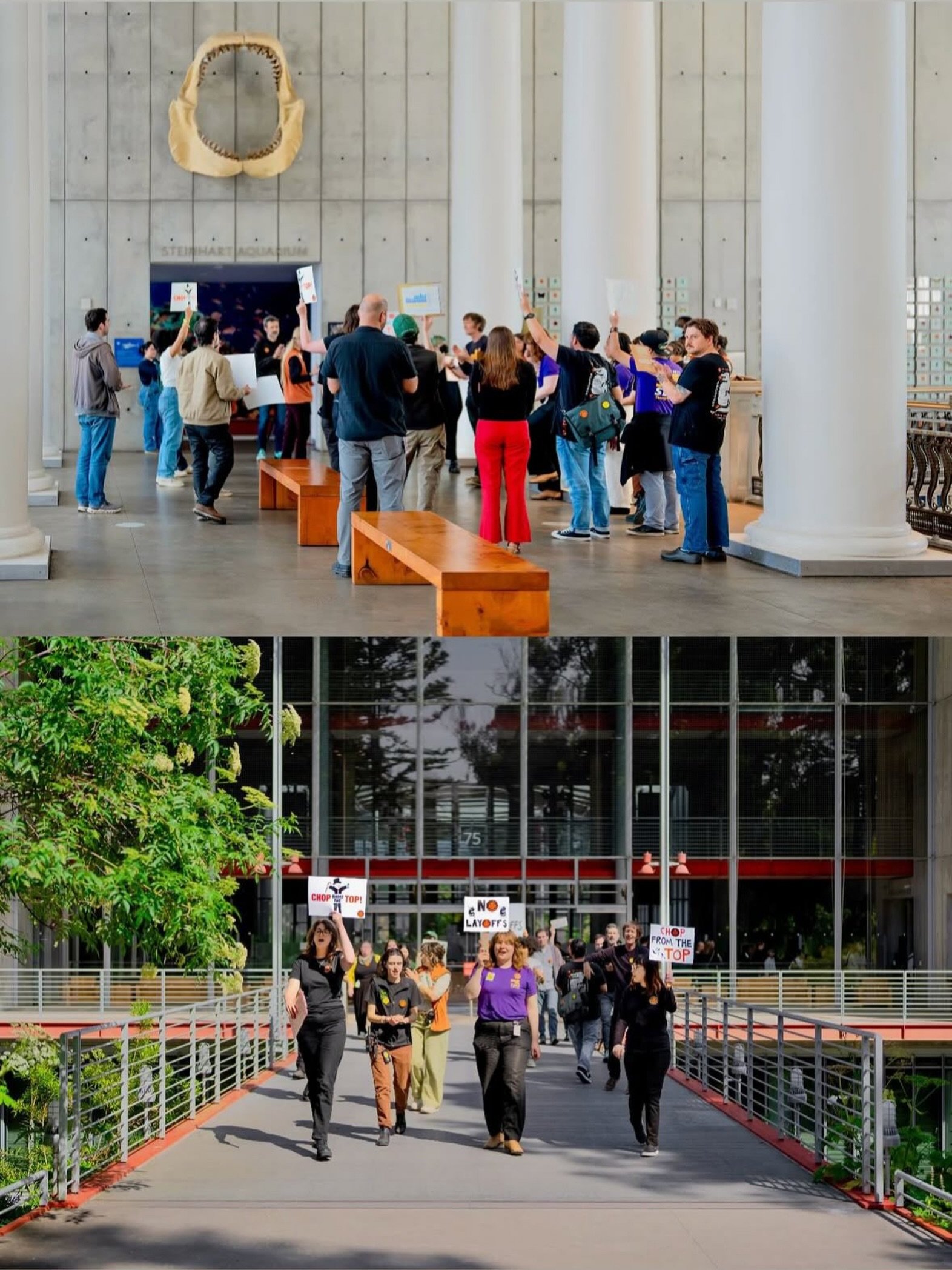 SAVE OUR STUDIOS, SIGN THE LETTER! 🆘 
On Wednesday, we had a solidarity break to deliver our staff petition to the CAS Board of Trustees demanding no layoffs, no confidence in leadership, and no job displacement by artificial intelligence or expensi