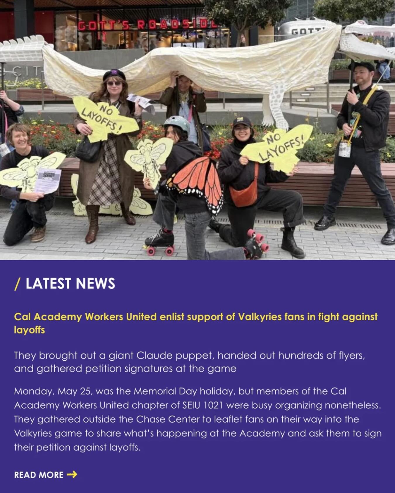 We were busy bees this Memorial Day! 🪧🐝 CAWU gathered outside the Chase Center to leaflet fans on their way into the CalAcademy-sponsored Valkyries game to share what&rsquo;s happening at the Academy and ask them to sign our petition against layoff