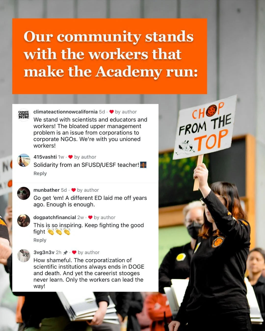 Thank you to our community for your support! Sign community letter at the link in our bio to let the Academy board know you support workers, not management! 

Oh and tag @calacademy in the comments and let them know what you think. (They turned off t