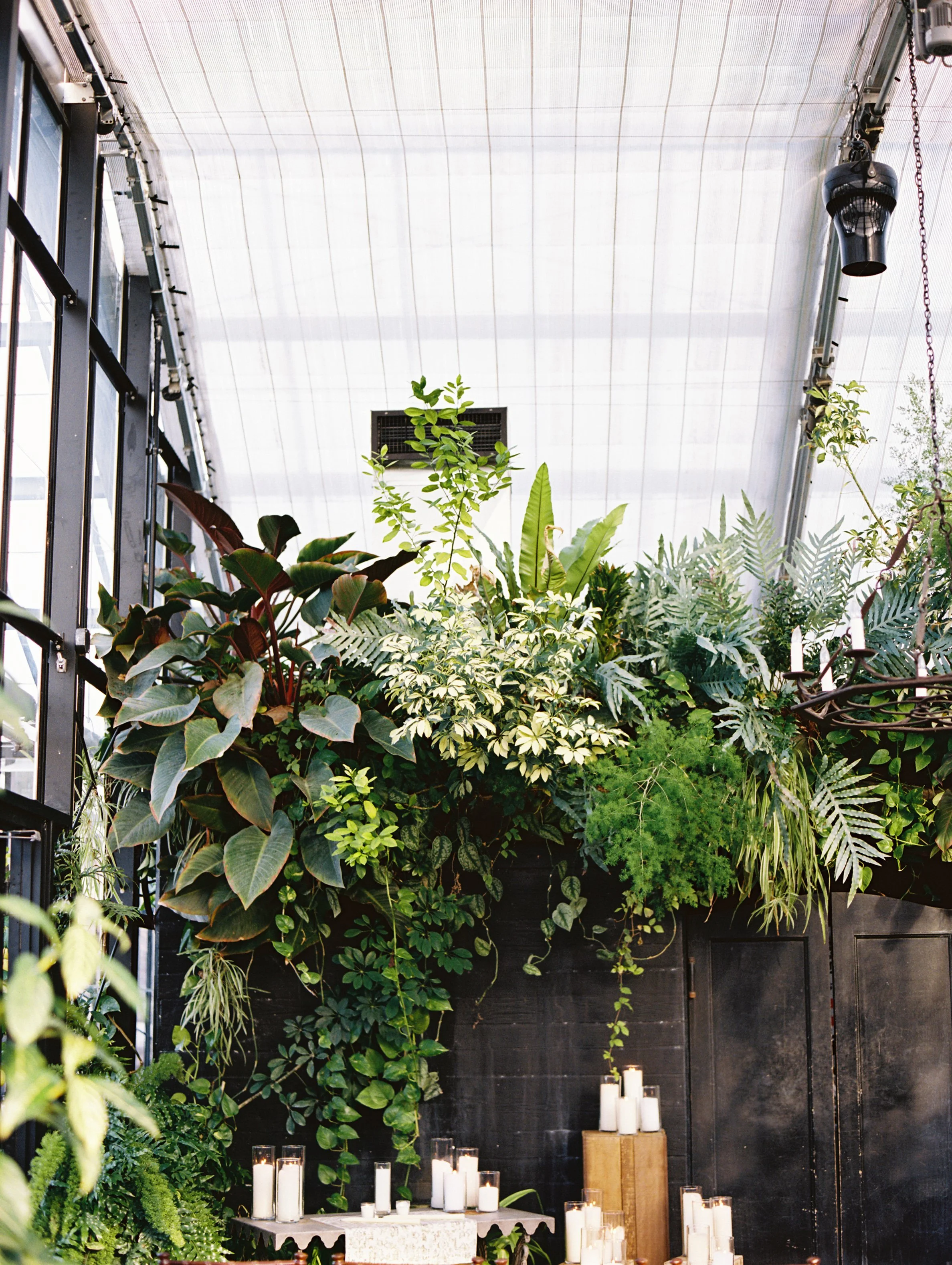 Hannah & Dan-148.jpg