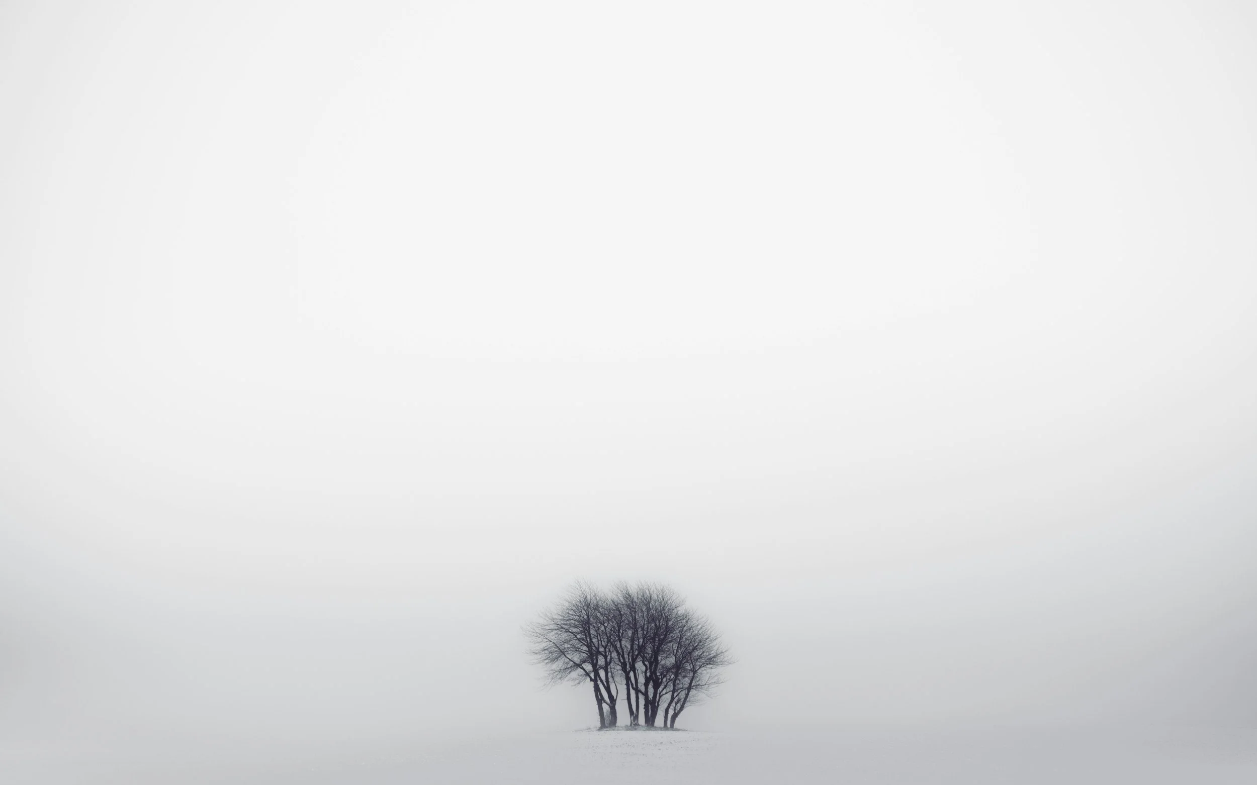 A solitary leafless tree stands in a snow-covered field on a gray, overcast day.