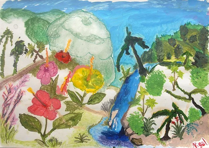 Hibiscus Flowers and a Waterfall - Nigel & Leonie Clunie