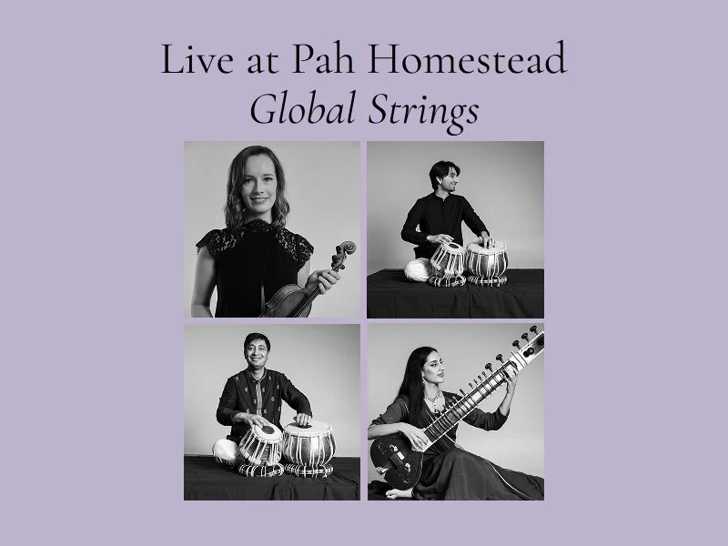 Sunday Concert: Global Strings