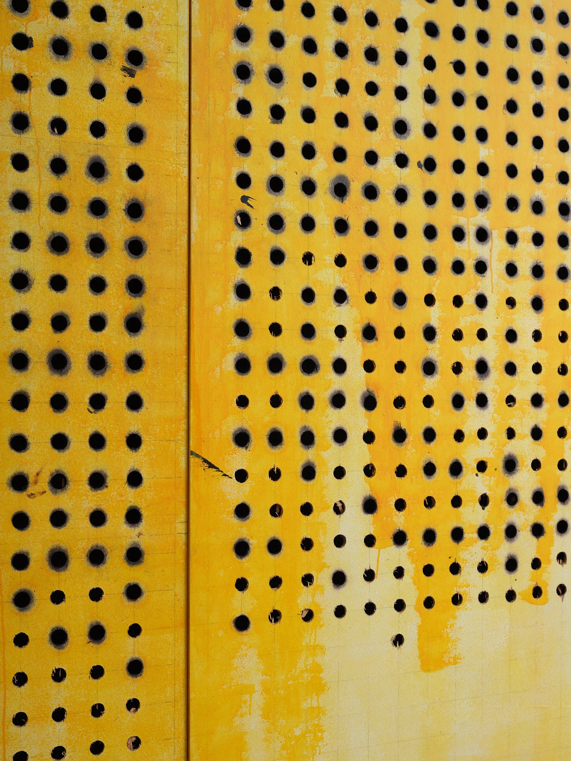_DSF5136web.jpg