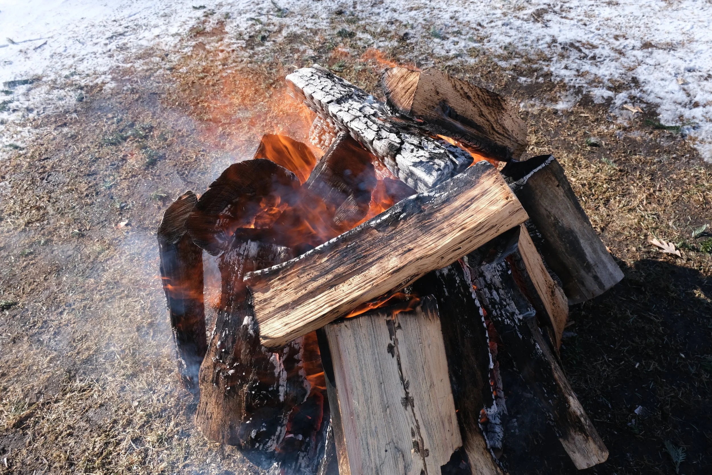 DSCF9617.JPG
