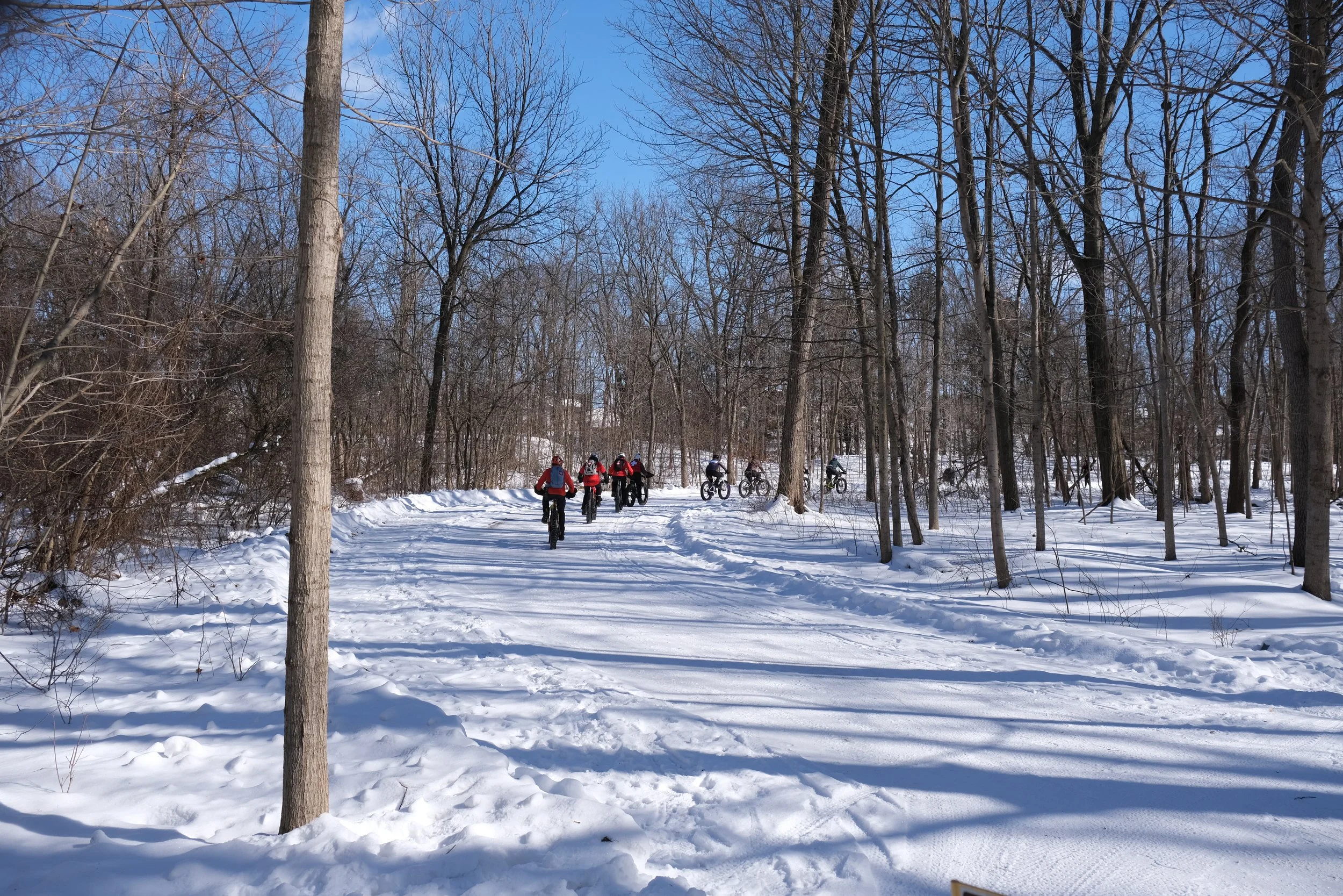 DSCF9779.JPG