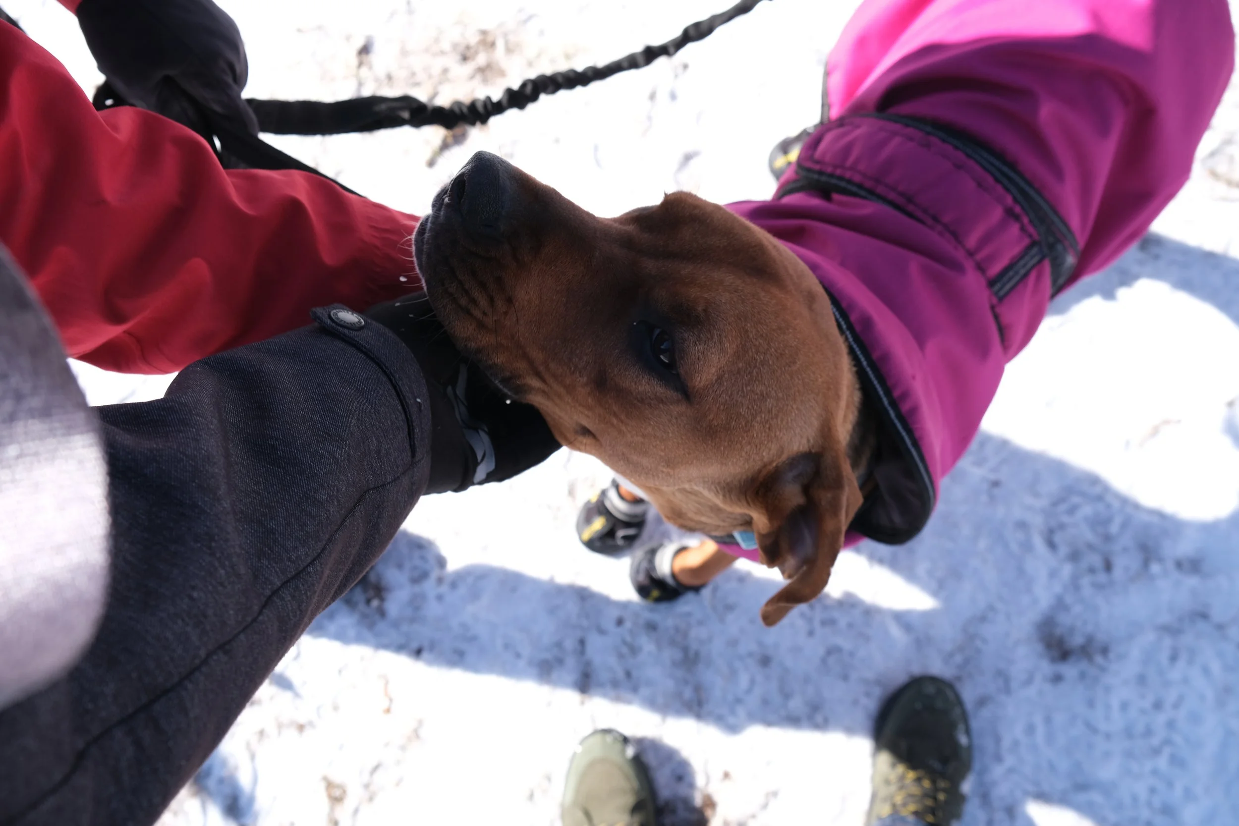 DSCF9633.JPG