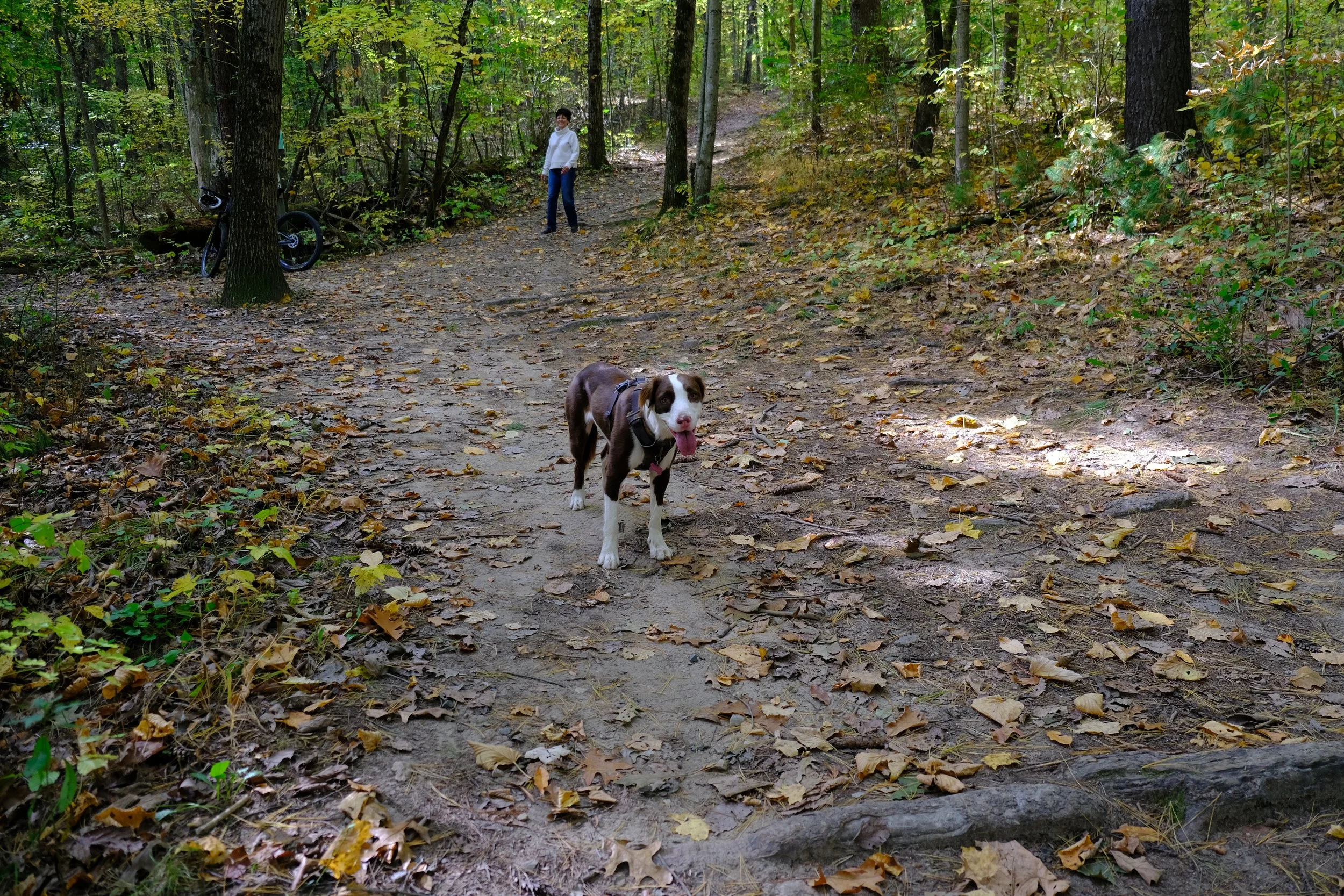 DSCF0399.JPG