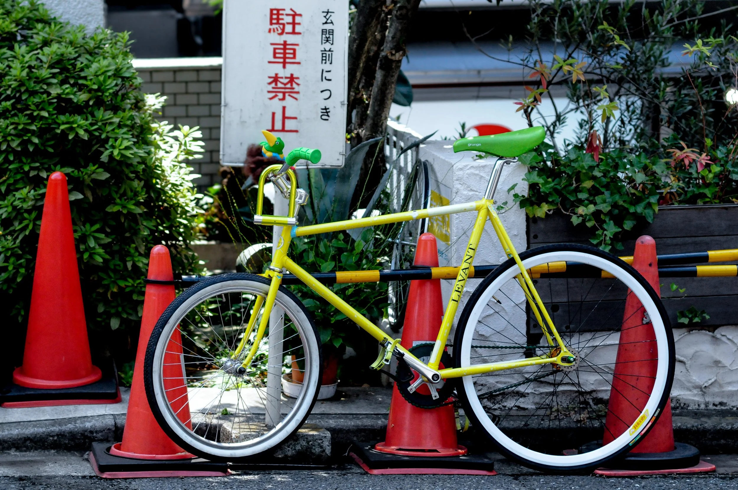 TOKYO BIKE.jpeg