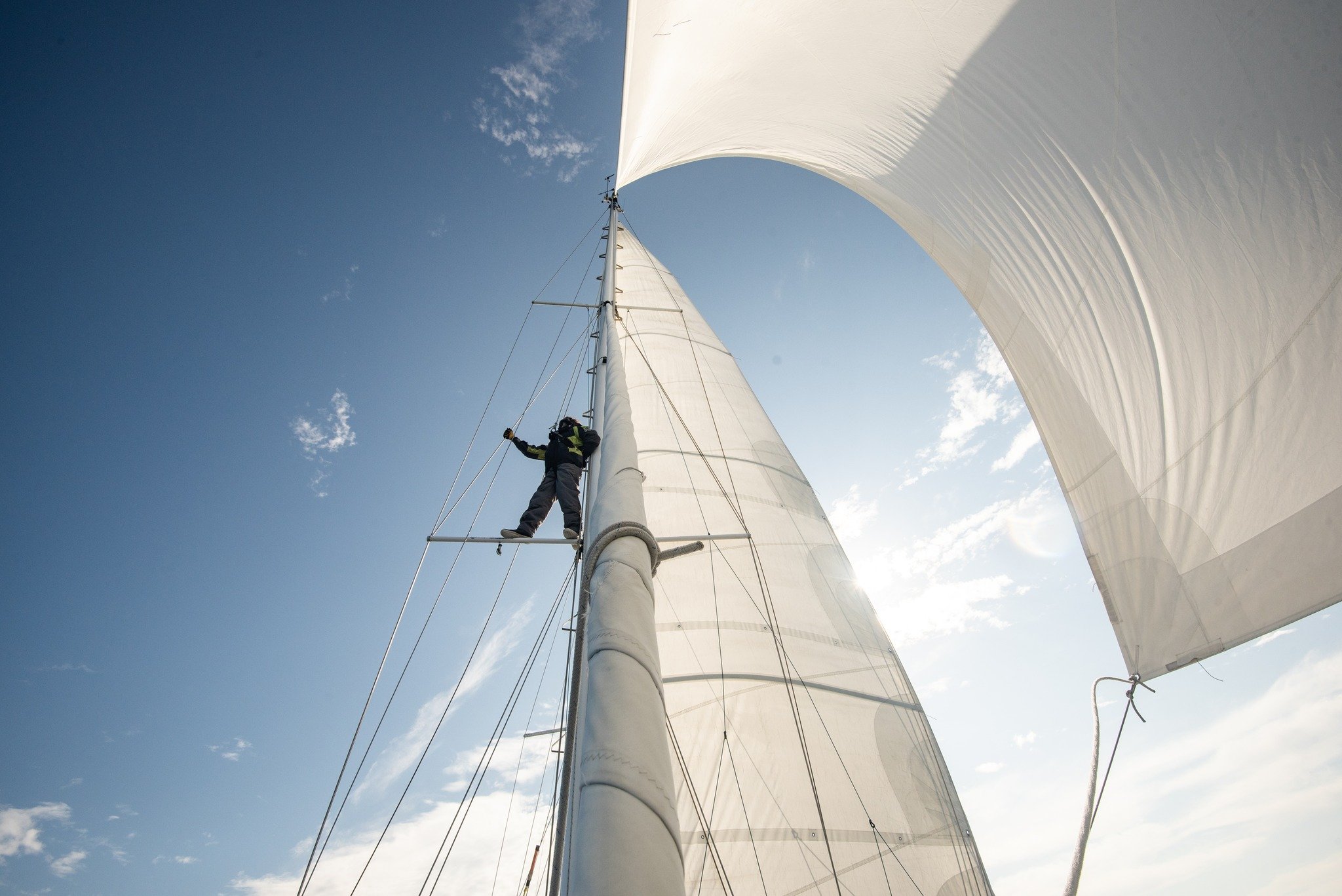 PLATFORM LAUNCH!

Exciting news, @balean_foundation  online platform is launching today at 10 Am (Atlantic Time), to showcase incredible research and conservation projects. Tune in to learn more about our whale resarch!

Tune in for the livestream:
h