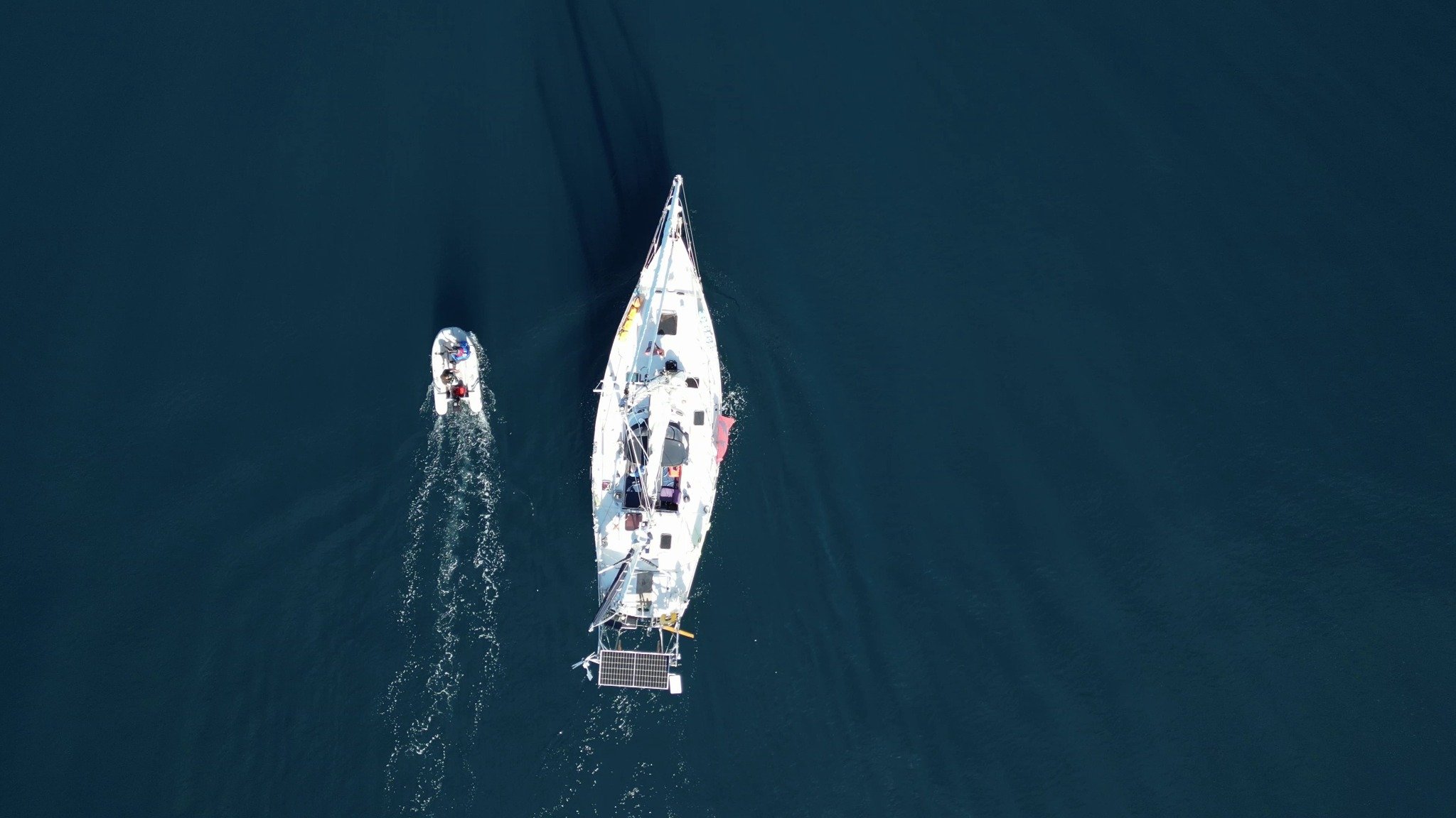 We have been using the 42&rsquo; steel sailboat Andromede for our research since 2023. Operating from a sailboat allows us to remain offshore for extended periods while minimizing our carbon footprint. From Andromede, we collect whale identification 