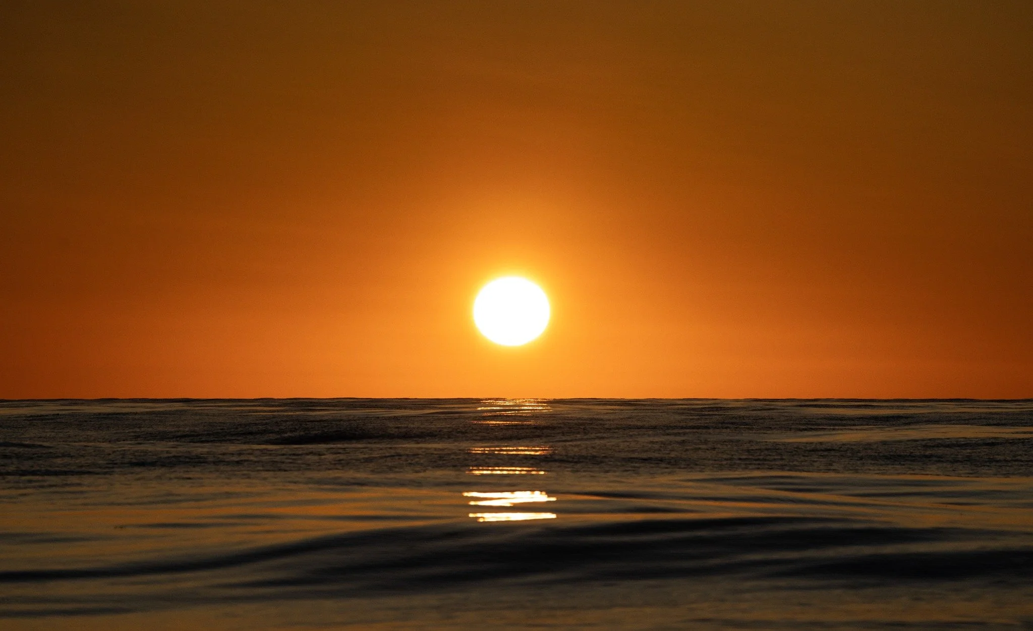 The prettiest sunsets are far offshore! A nice way to conclude an incredible day with fin whales and flat calm weather.

Les plus beaux couchers de soleil se trouvent loin au large ! Une belle fa&ccedil;on de conclure une journ&eacute;e incroyable av
