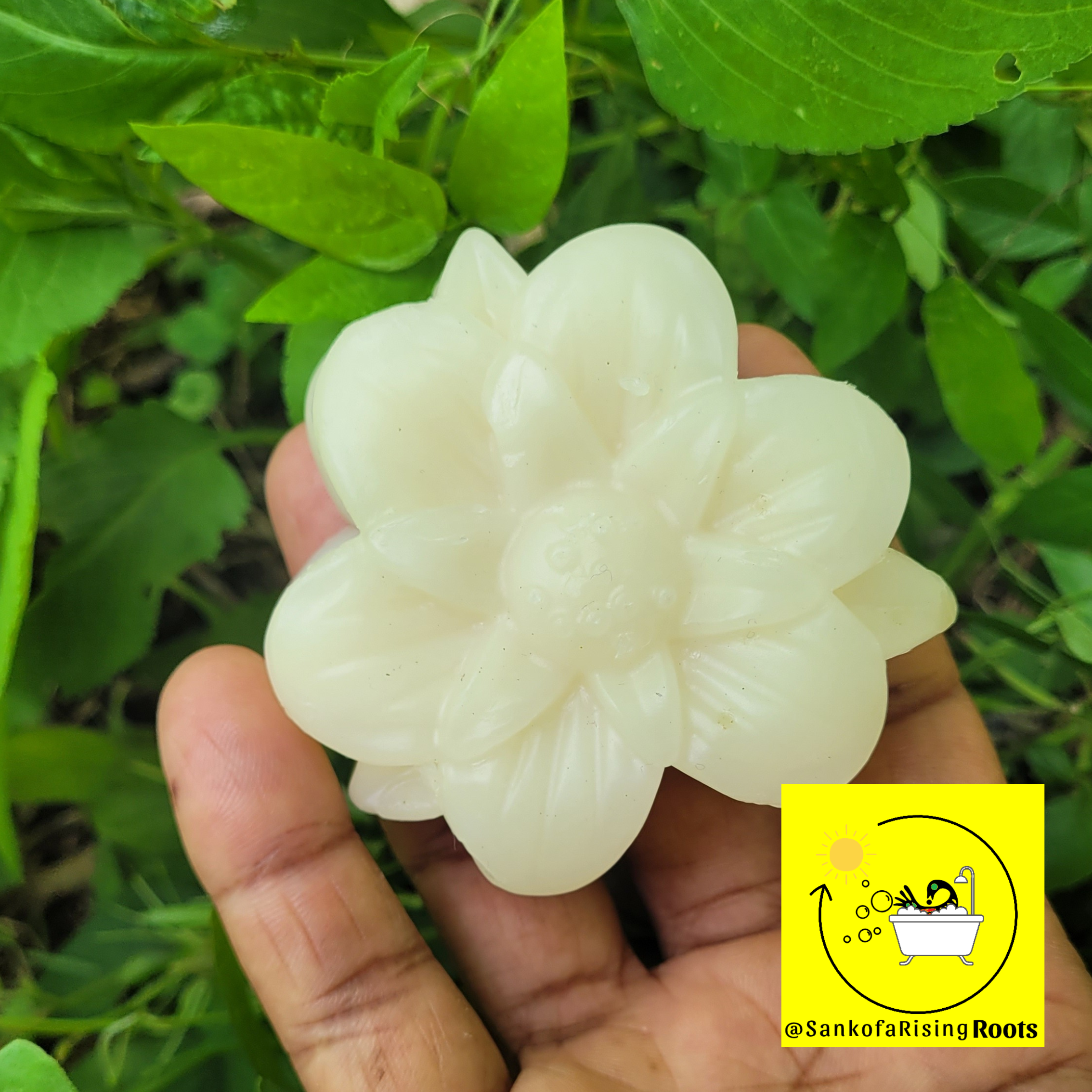 chocolate-mint conditioner bar 1.png