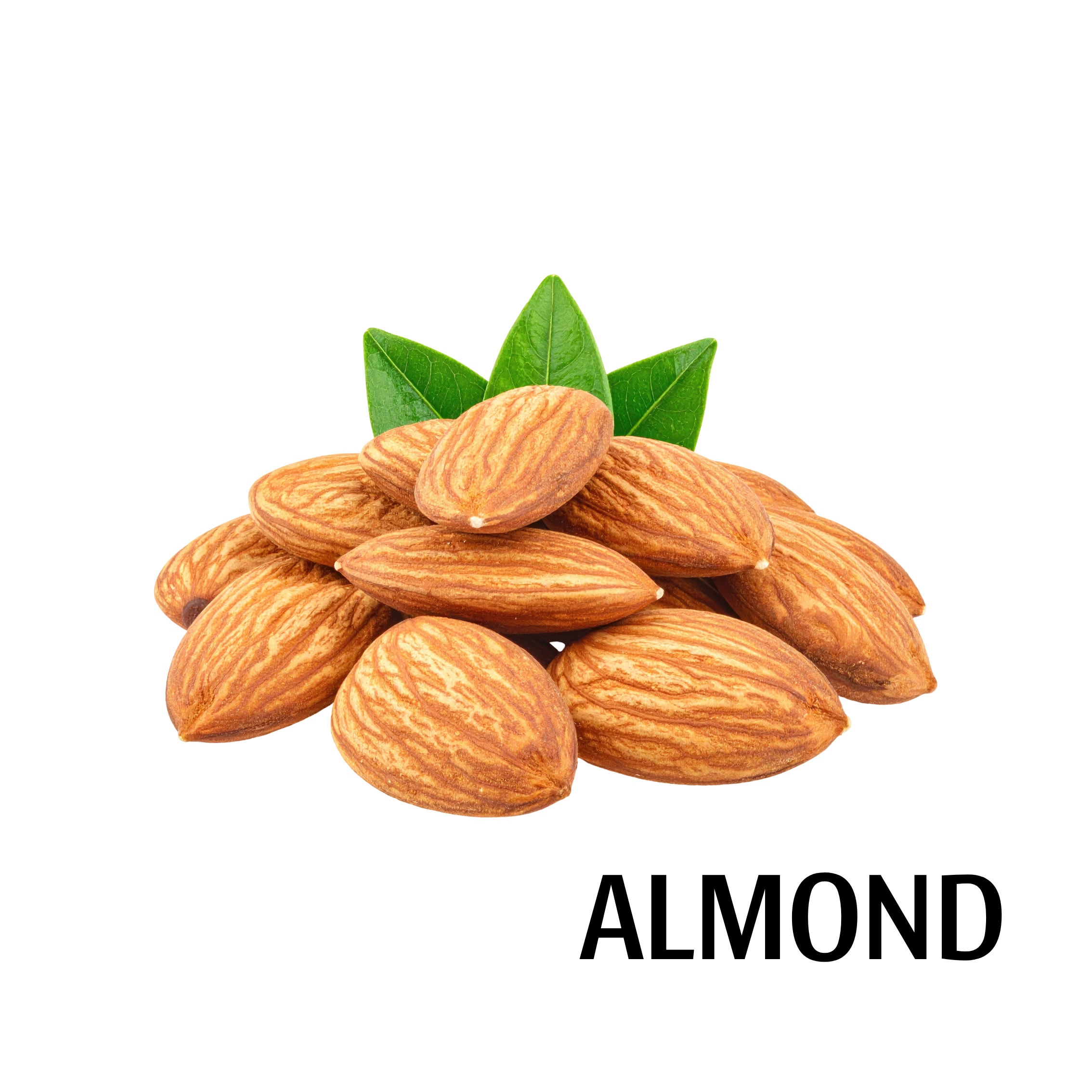 almond.png
