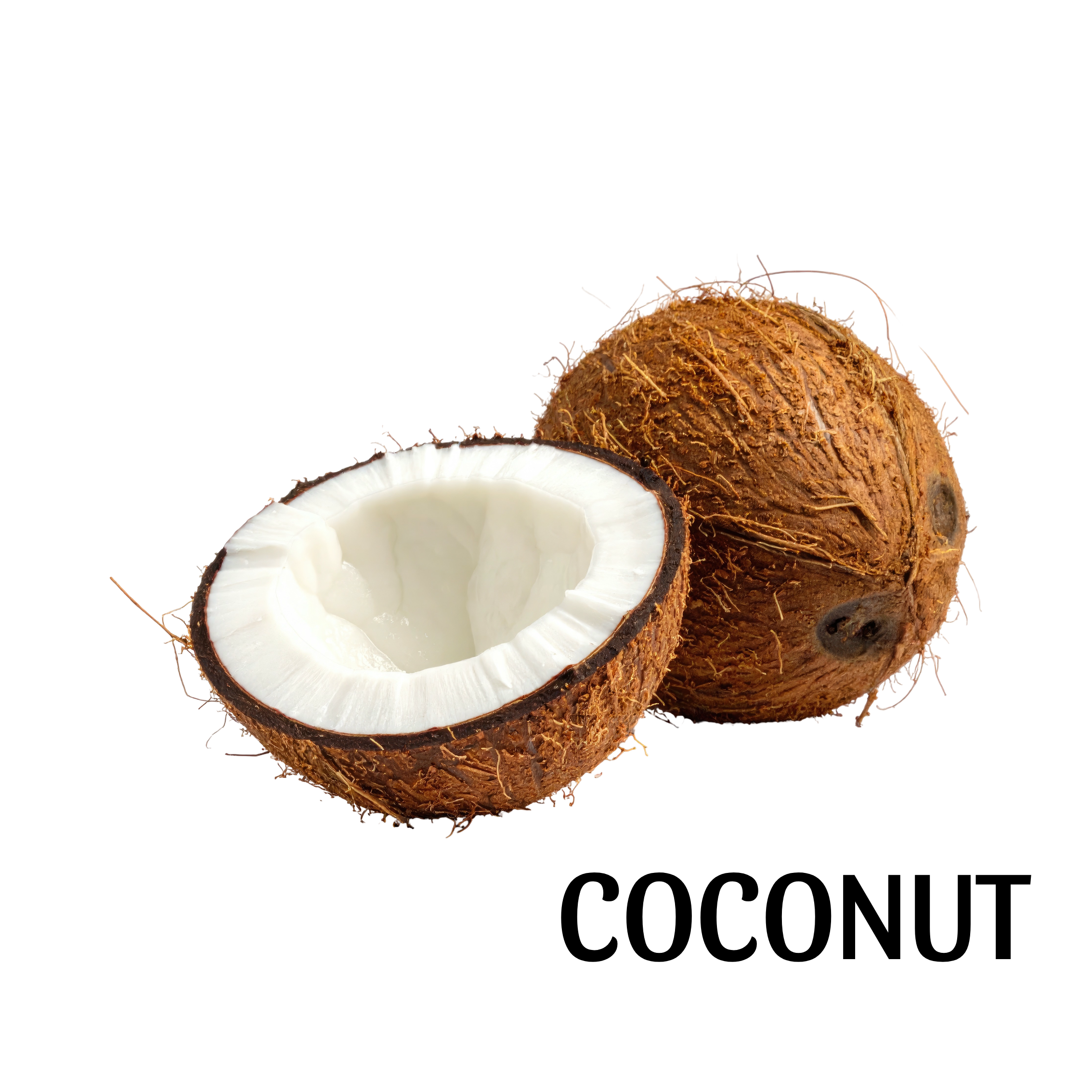 coconut.png