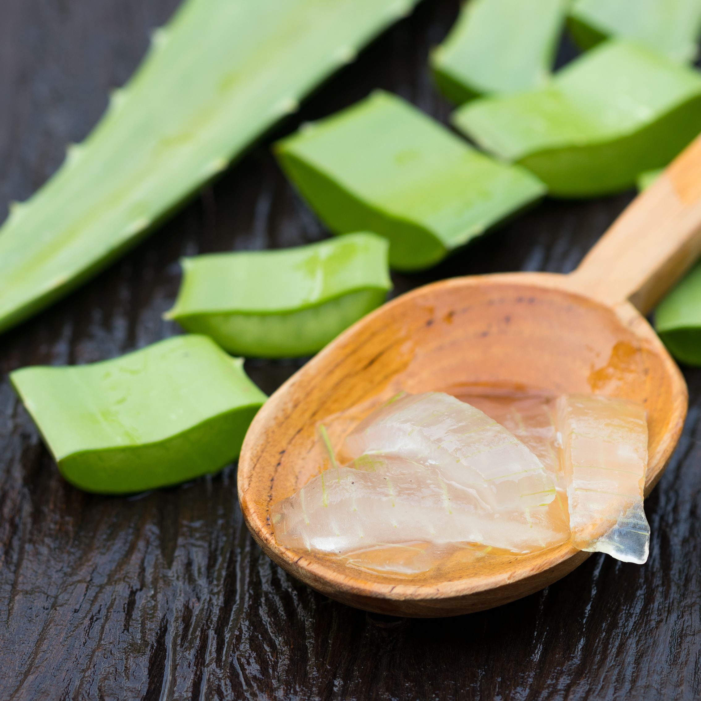 sinkle bible plant and gel.png