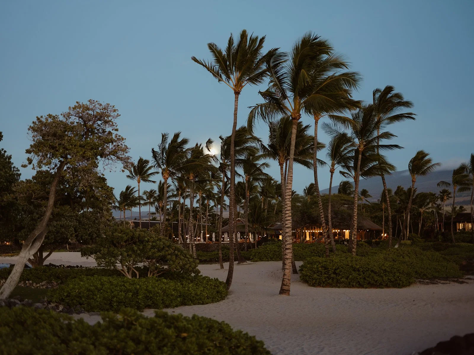 20250511_Beach_Sunset_Elopement_Hawaii_0152.jpg