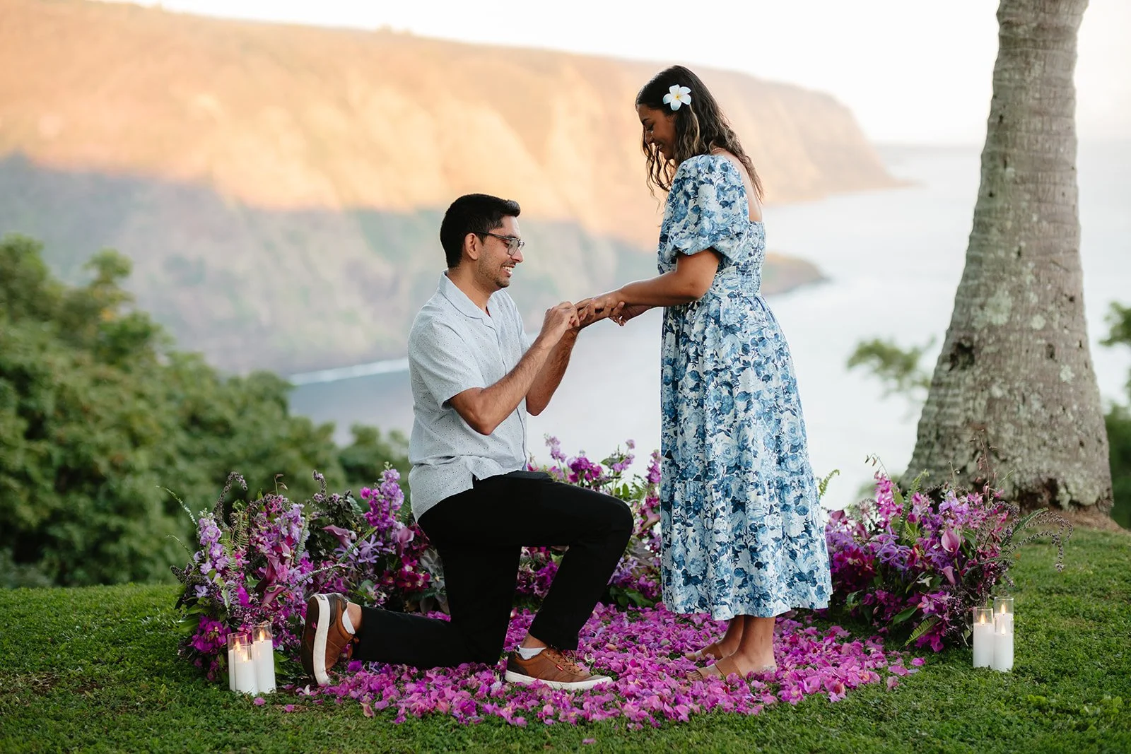 Secret Proposal - Big Island