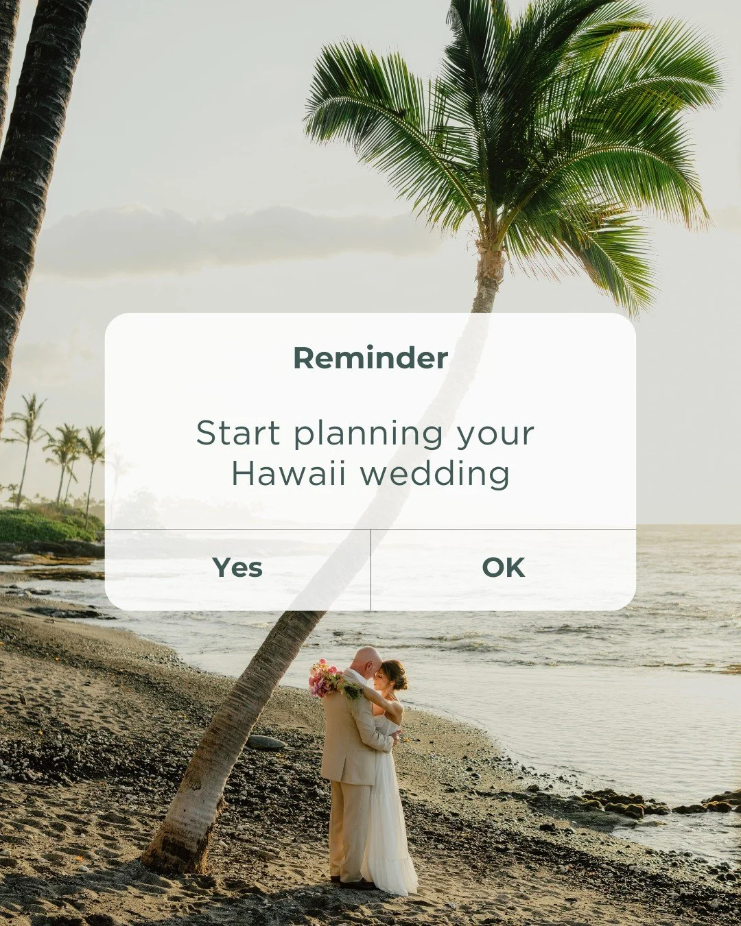 Whenever you&rsquo;re ready,
I&rsquo;ll be here to bring your Hawaii wedding to life ✨

Love, 
Sandra 🤍

#hawaii #wedding #bigislandwedding
