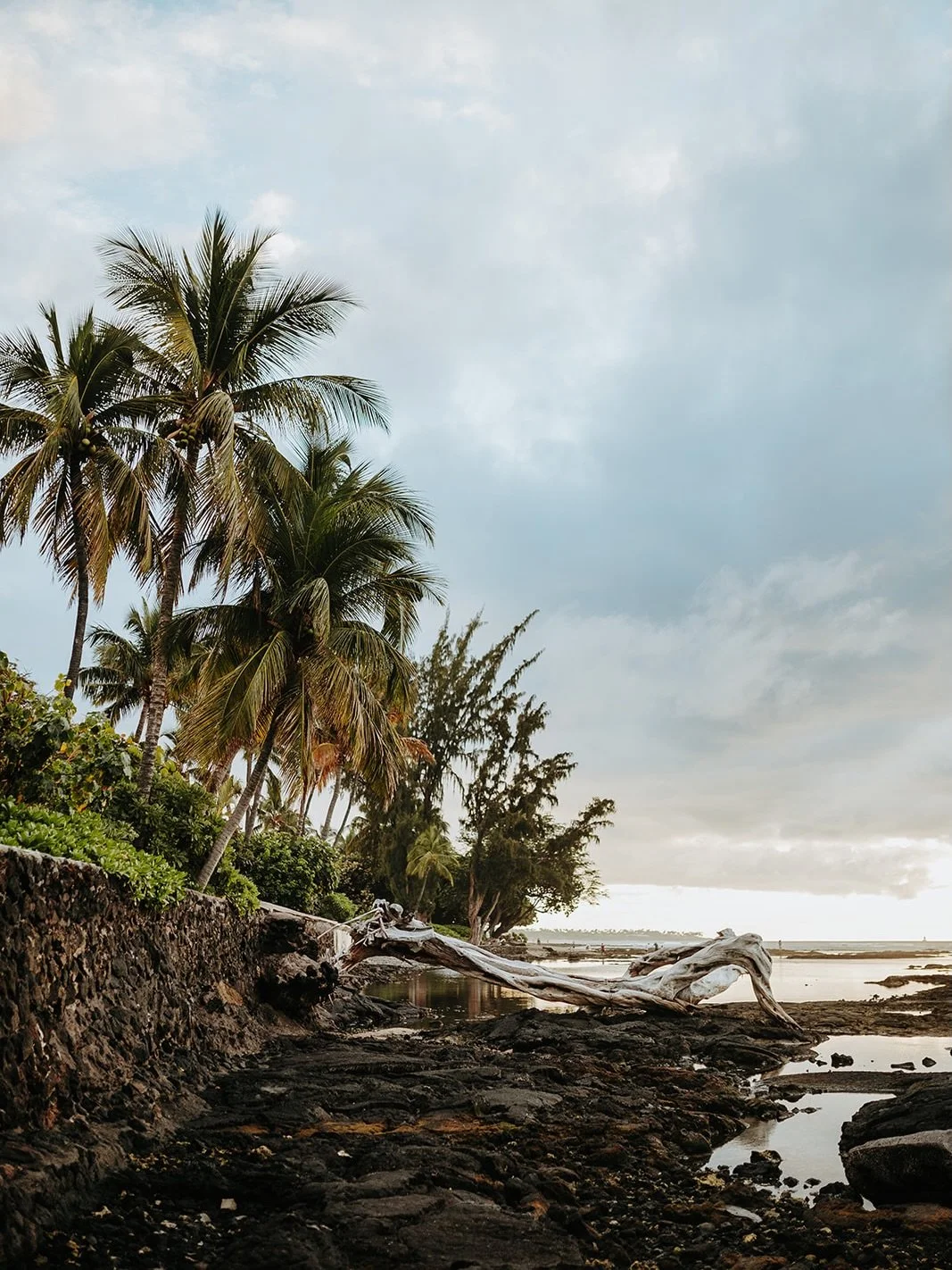 Working with the best #bigislandweddingphotographer and he knows the best spots!

The beat part Kris @couplecups is my husband ! 💕🥰💕