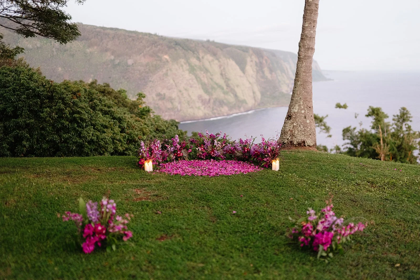surprise proposal reveal Waipio Valley Hawaii