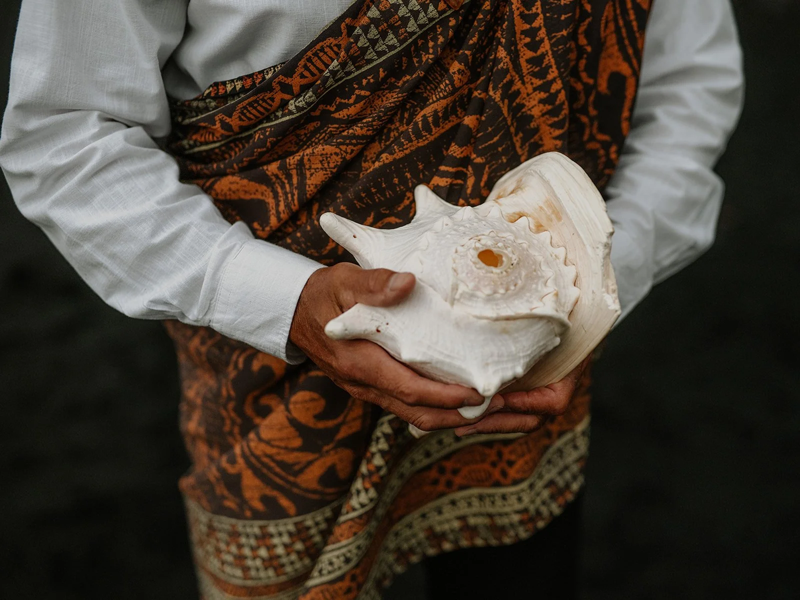hawaiian conch shell