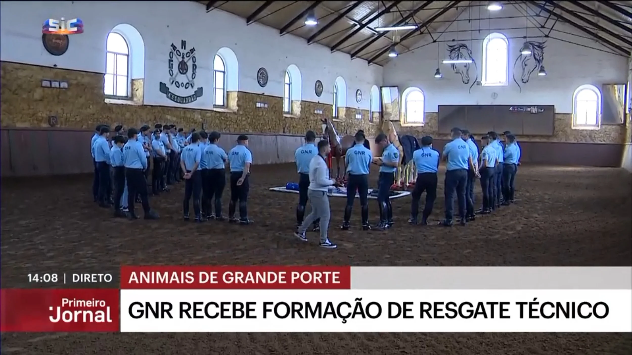 GNR recebe formação especializada em resgate de animais de grande porte para responder a situações