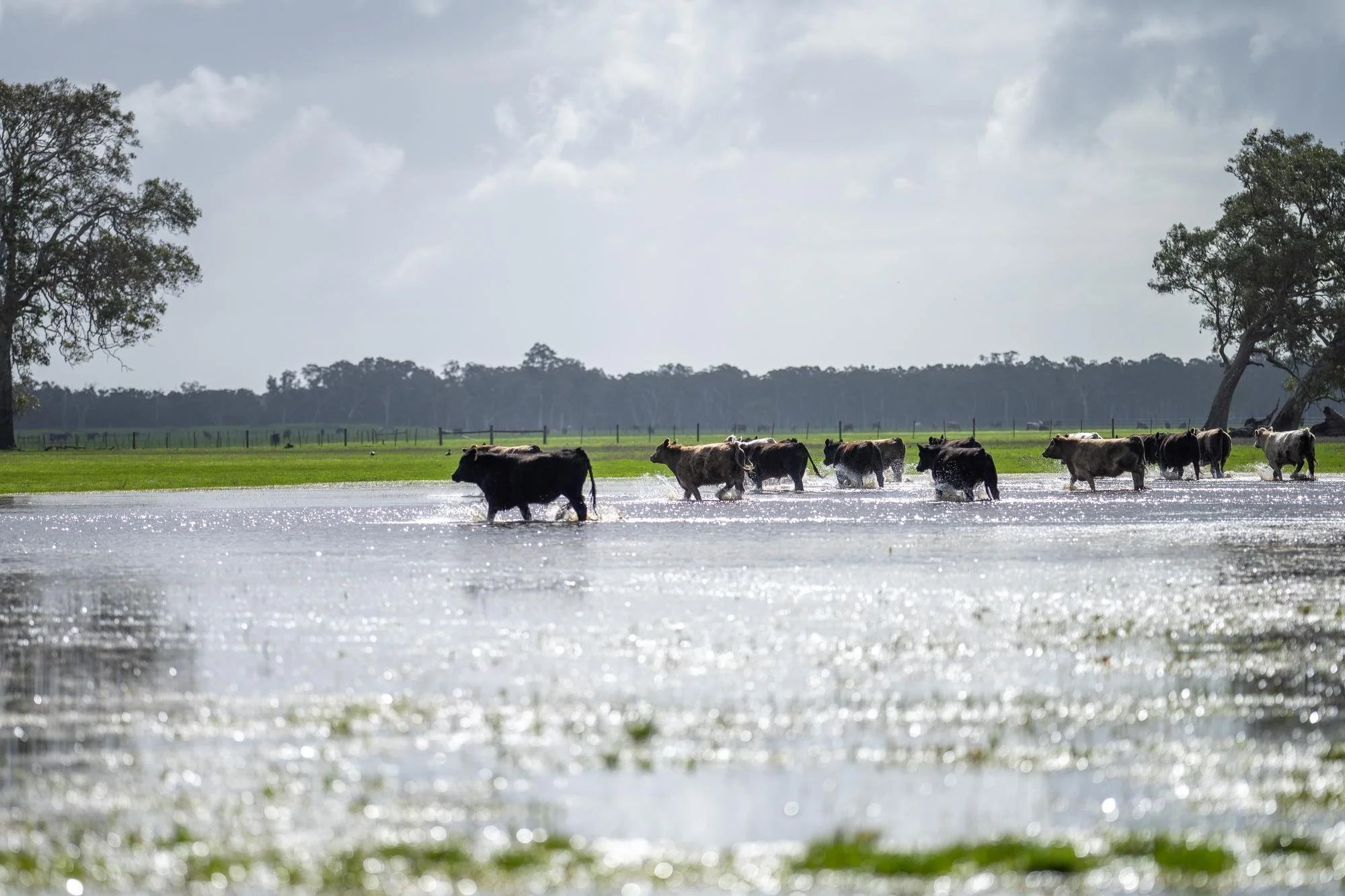 March Maintenance Check… Would your gear pass a proper once-over right now?