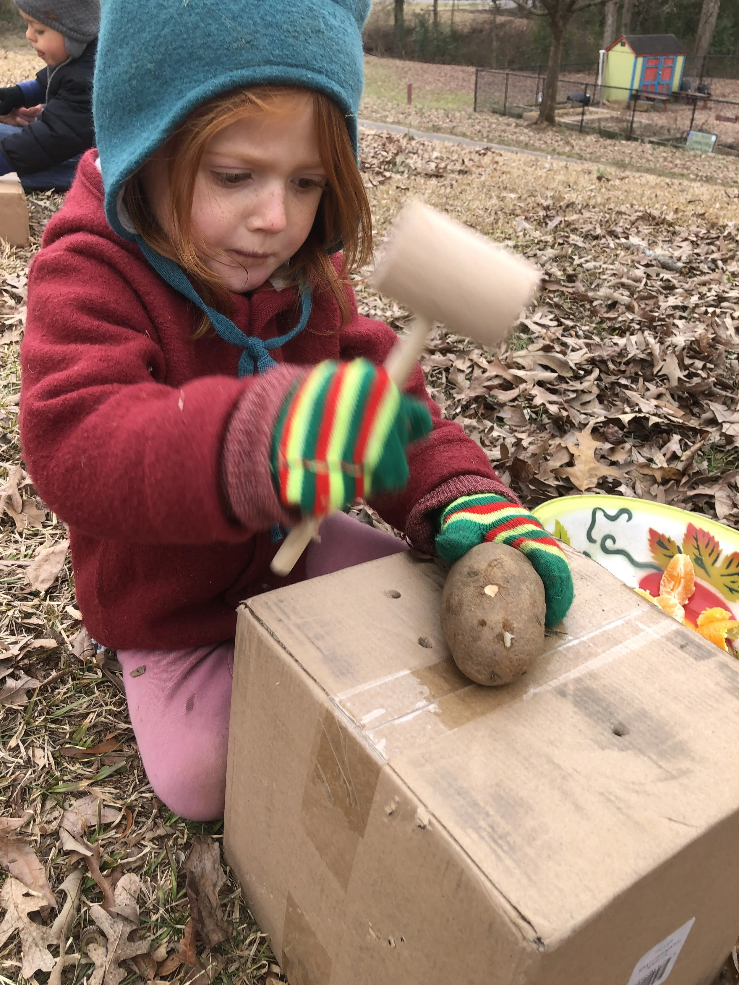 Sundays at 10 a.m.—fall