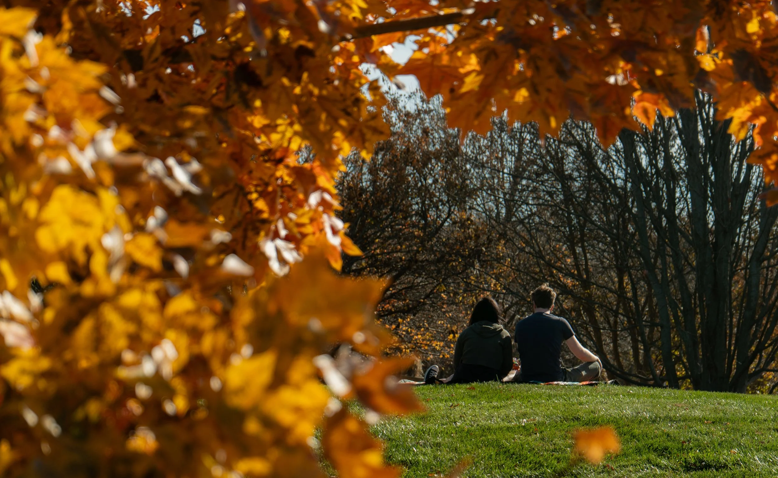 Two people sitting on grass in a park with trees, framed by orange autumn leaves, during daytime.