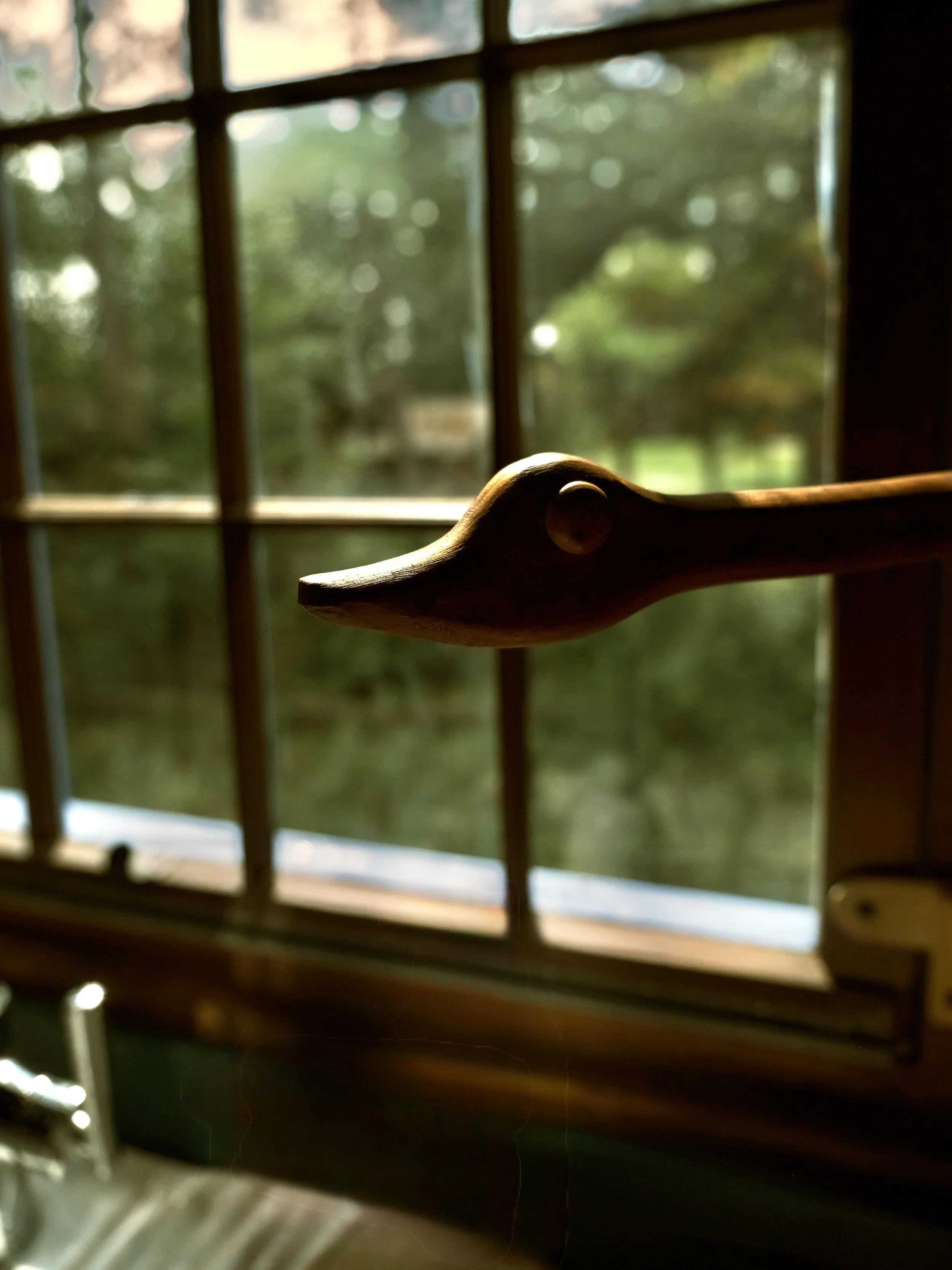 DSCF5782.jpg
