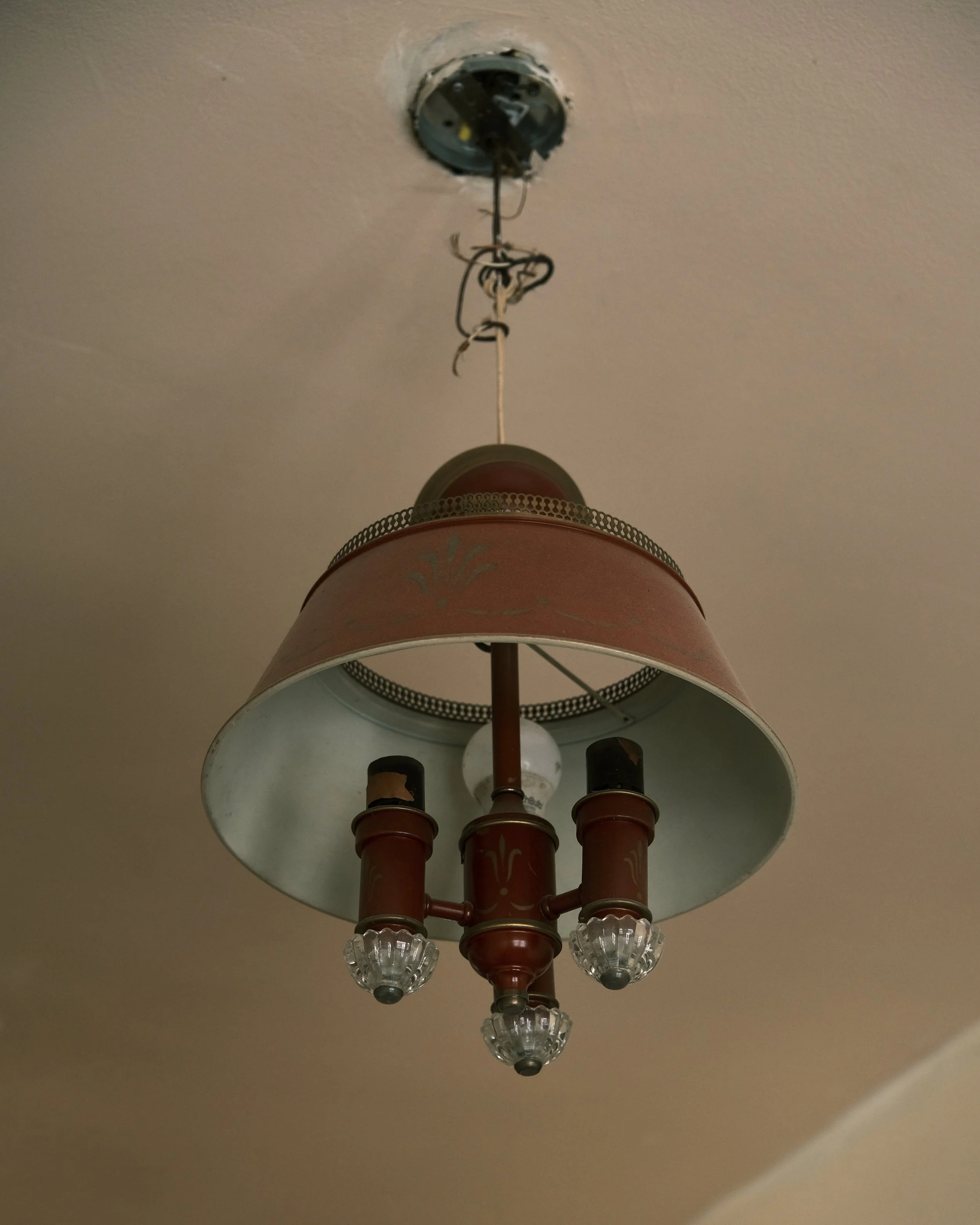 DSCF8996.jpg
