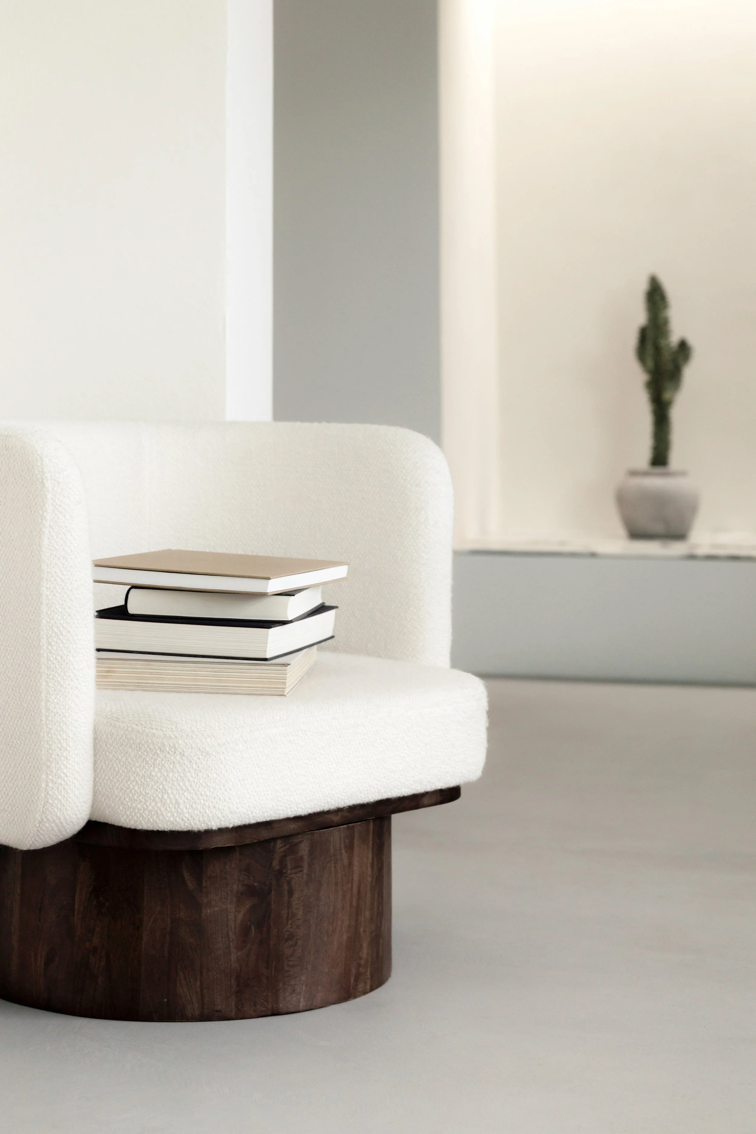 Interior scene with a white textured sofa, a stack of four books on it, and a potted cactus plant in the background.