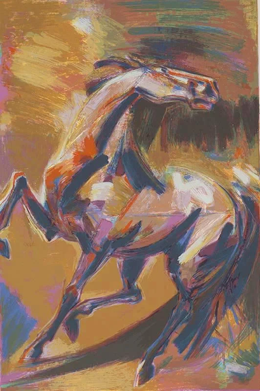 Crazy Horse - Luigi Voltolina