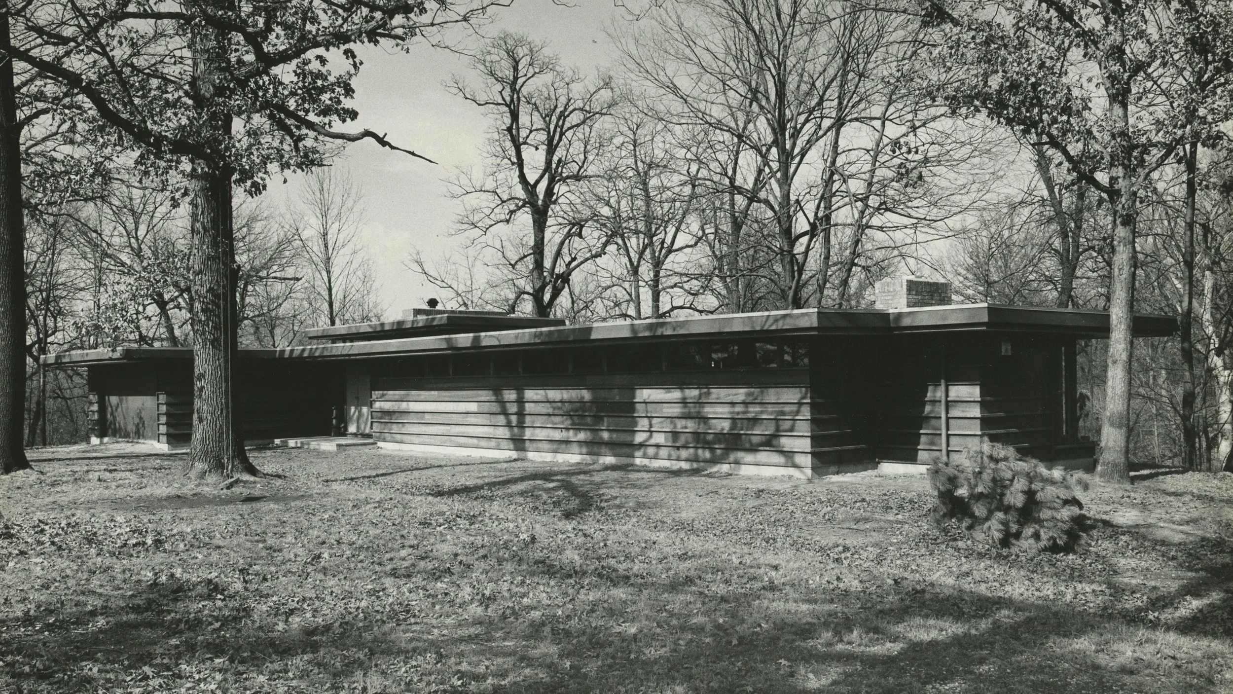 SoCoMCM-NortonHouse-WestElevation-00.jpg