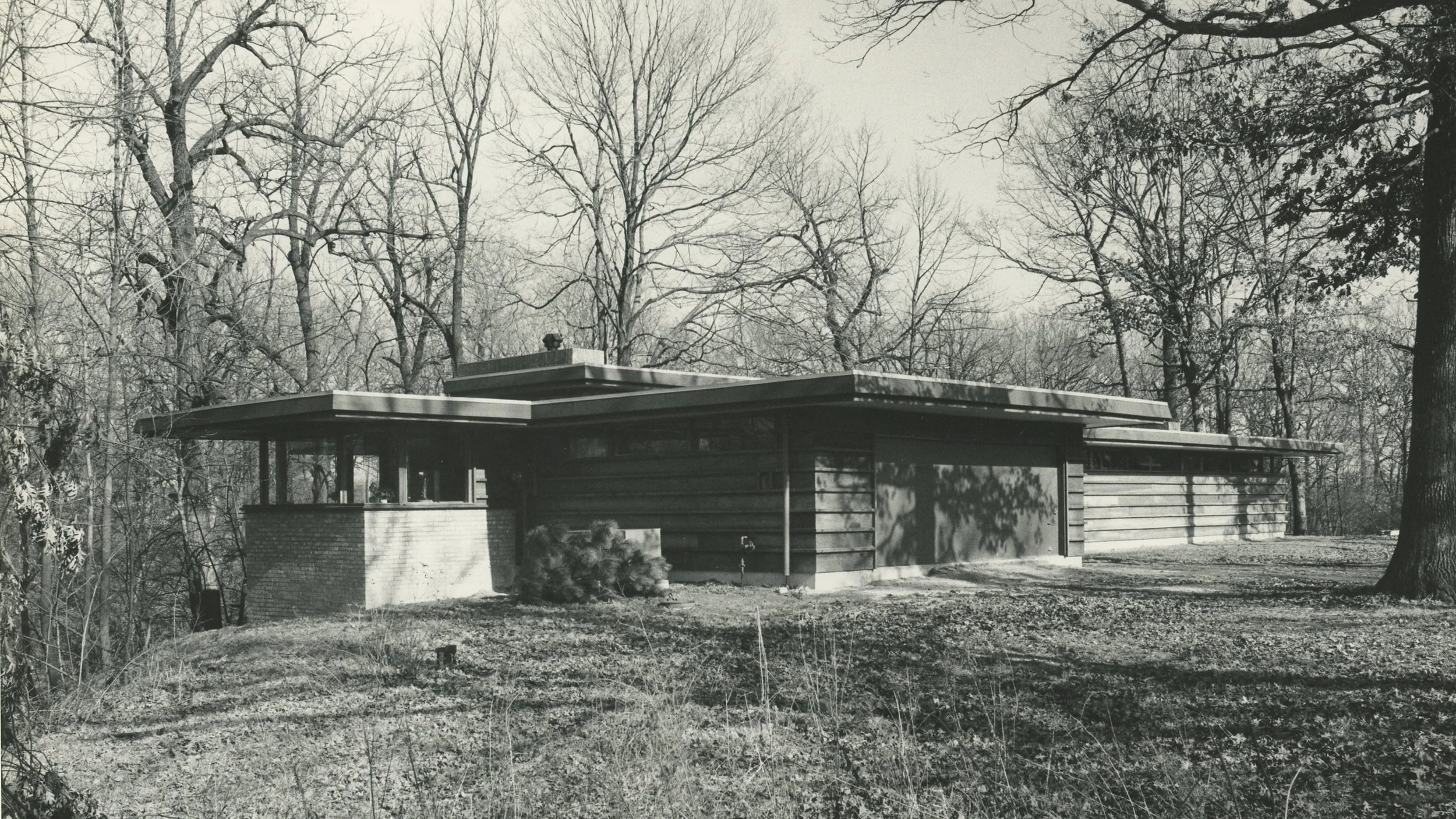SoCo-NortonHouse-WestElevation-02.jpg