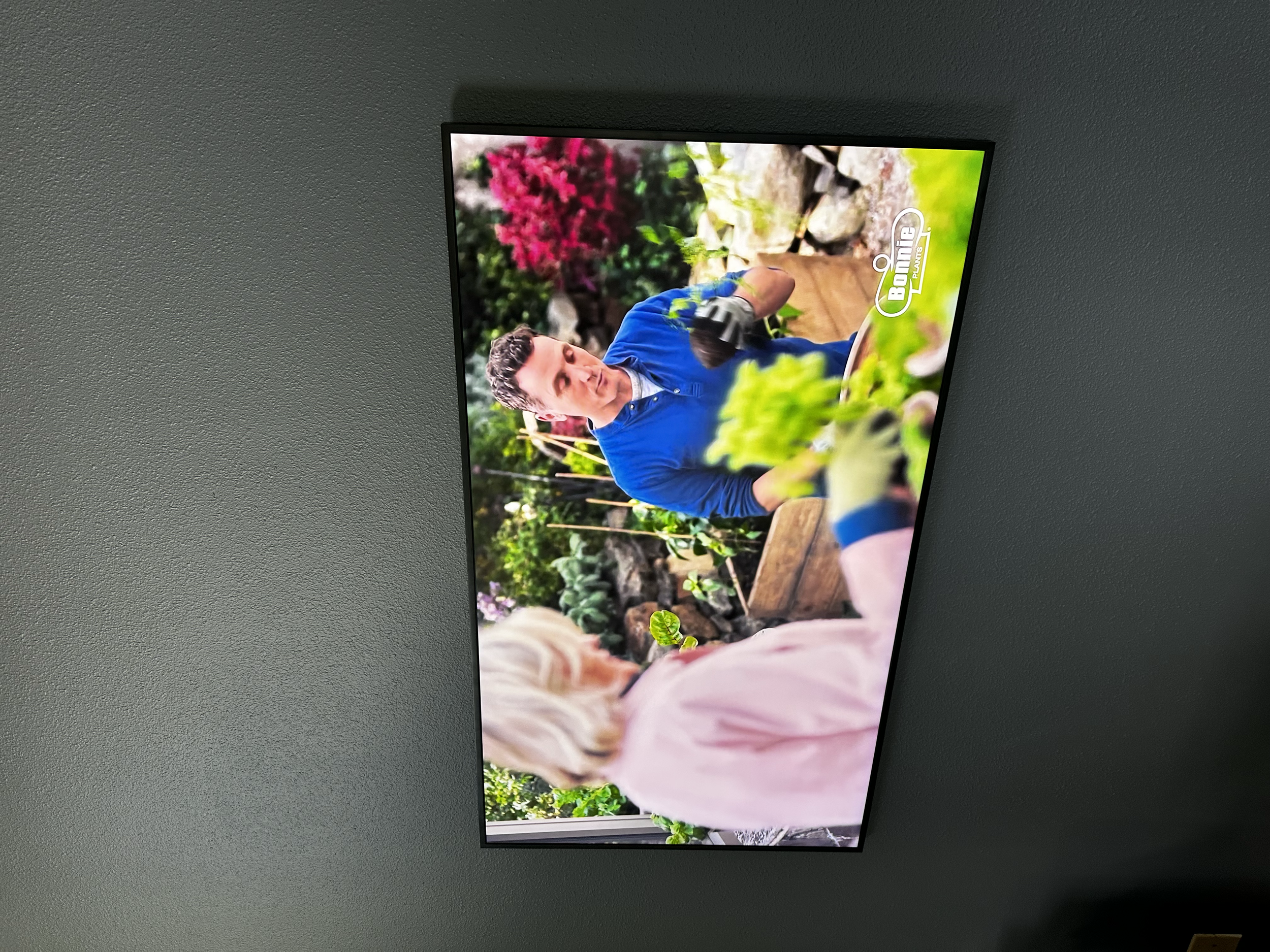 A man with short dark hair wearing a blue shirt tending to plants in a garden, with a woman with blonde hair in the foreground, also in the garden.
