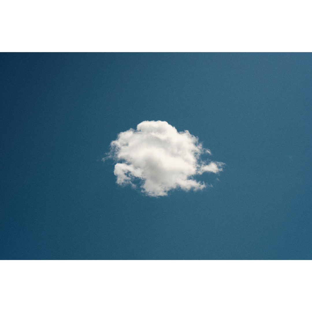 untitled (2).png