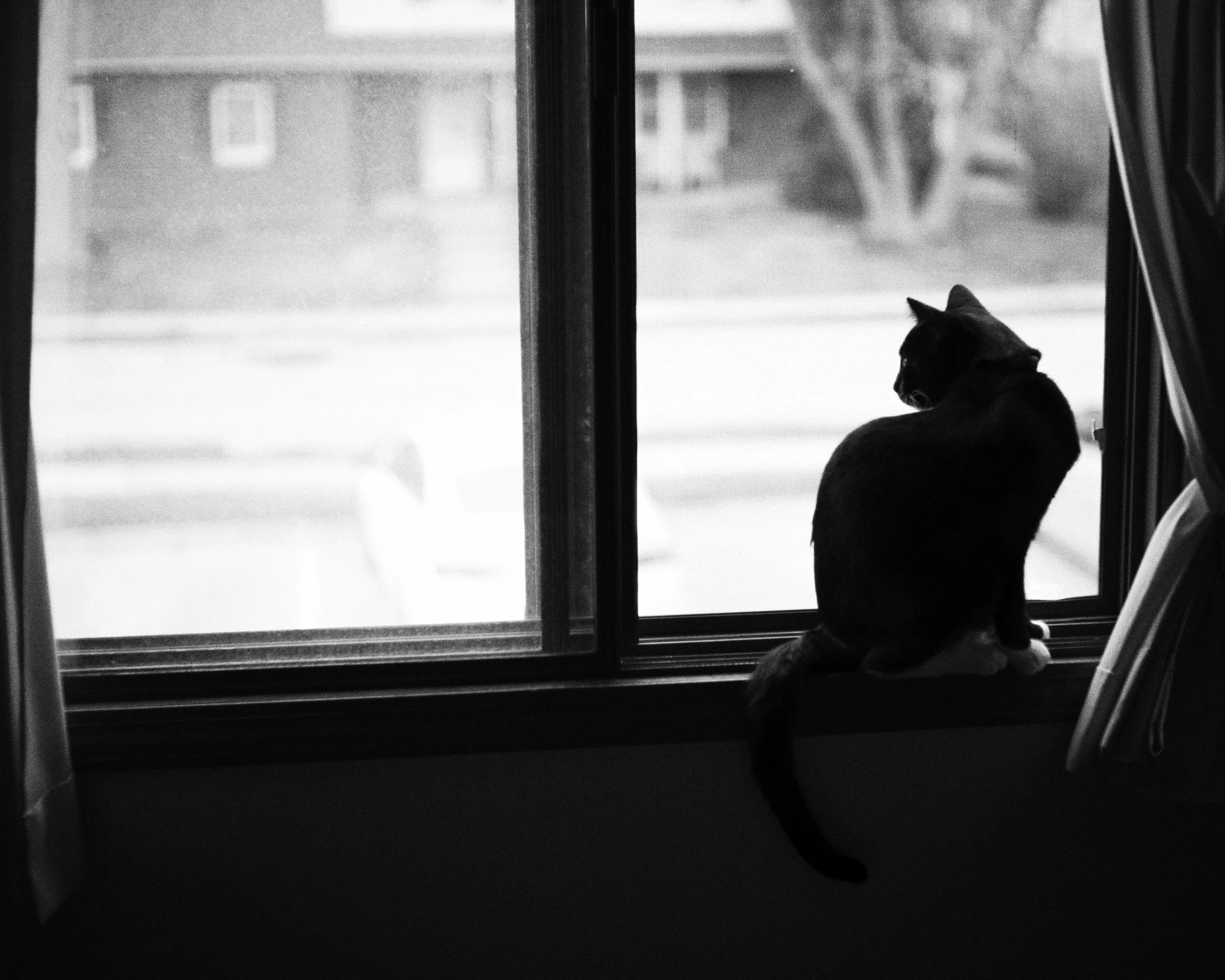 Neighborhood Watch.jpg