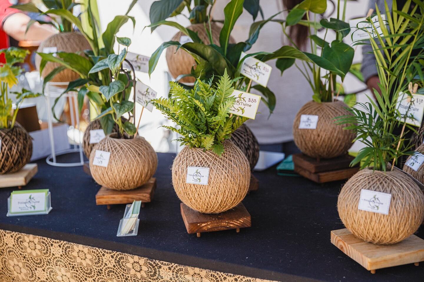 Applications are open if you&rsquo;re looking to attend as a Stallholder to our 2024 Annual SA Spring Garden Festival. If you&rsquo;re interested, email info@saspringgardenfestival.com.au for an application form. 

#sa #sasgf #spring #springgardenfes