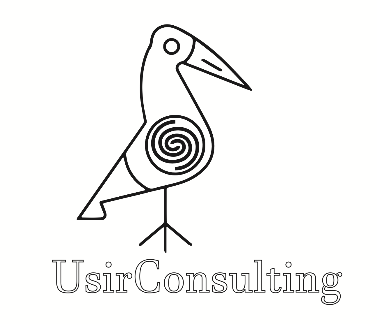 UsirConsulting