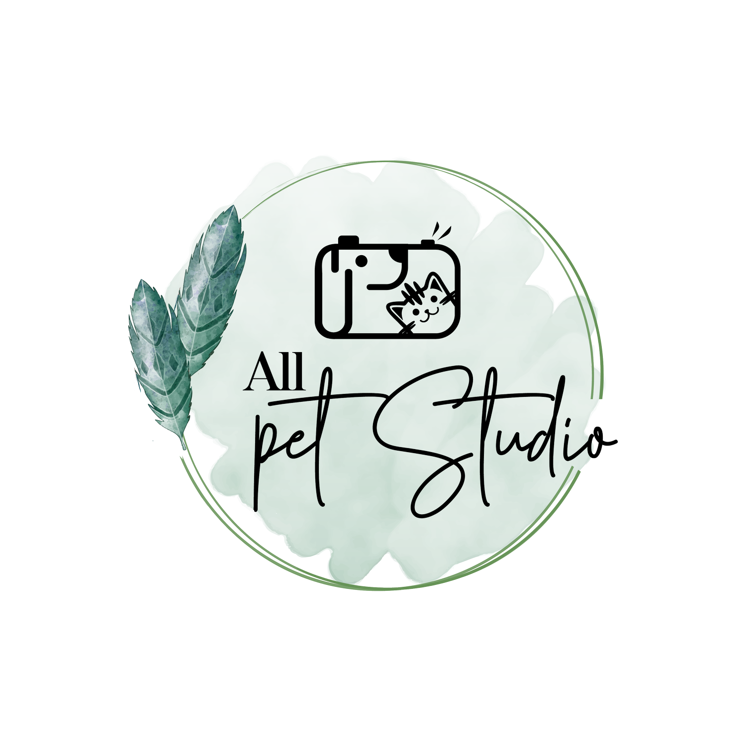 All Pet Studio