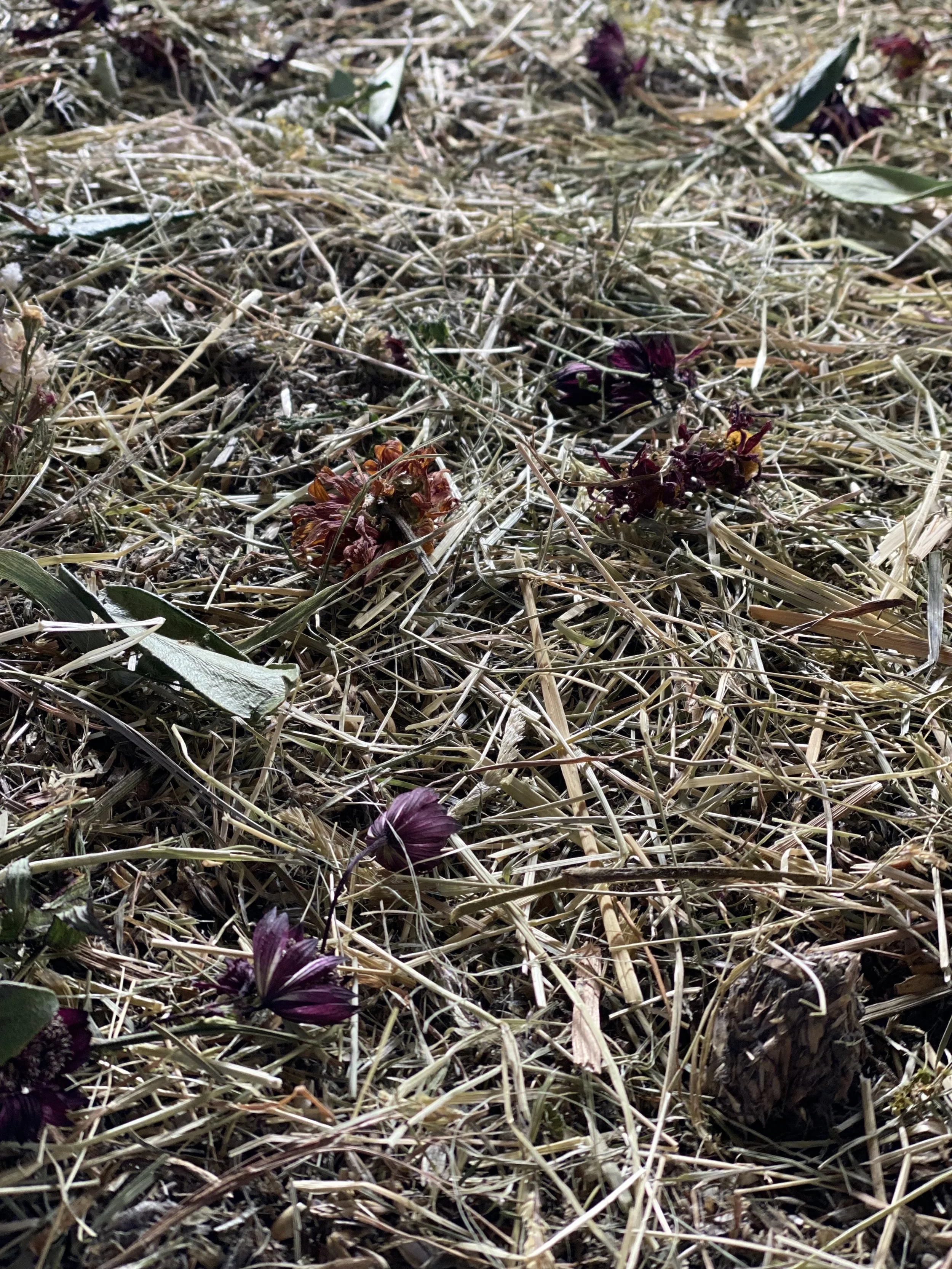 Wij zijn aarde - startmengsel.jpg