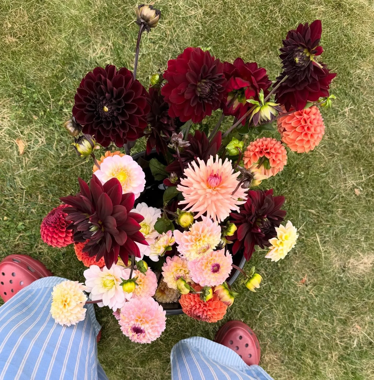 En hink gott och blandat beställd✔️