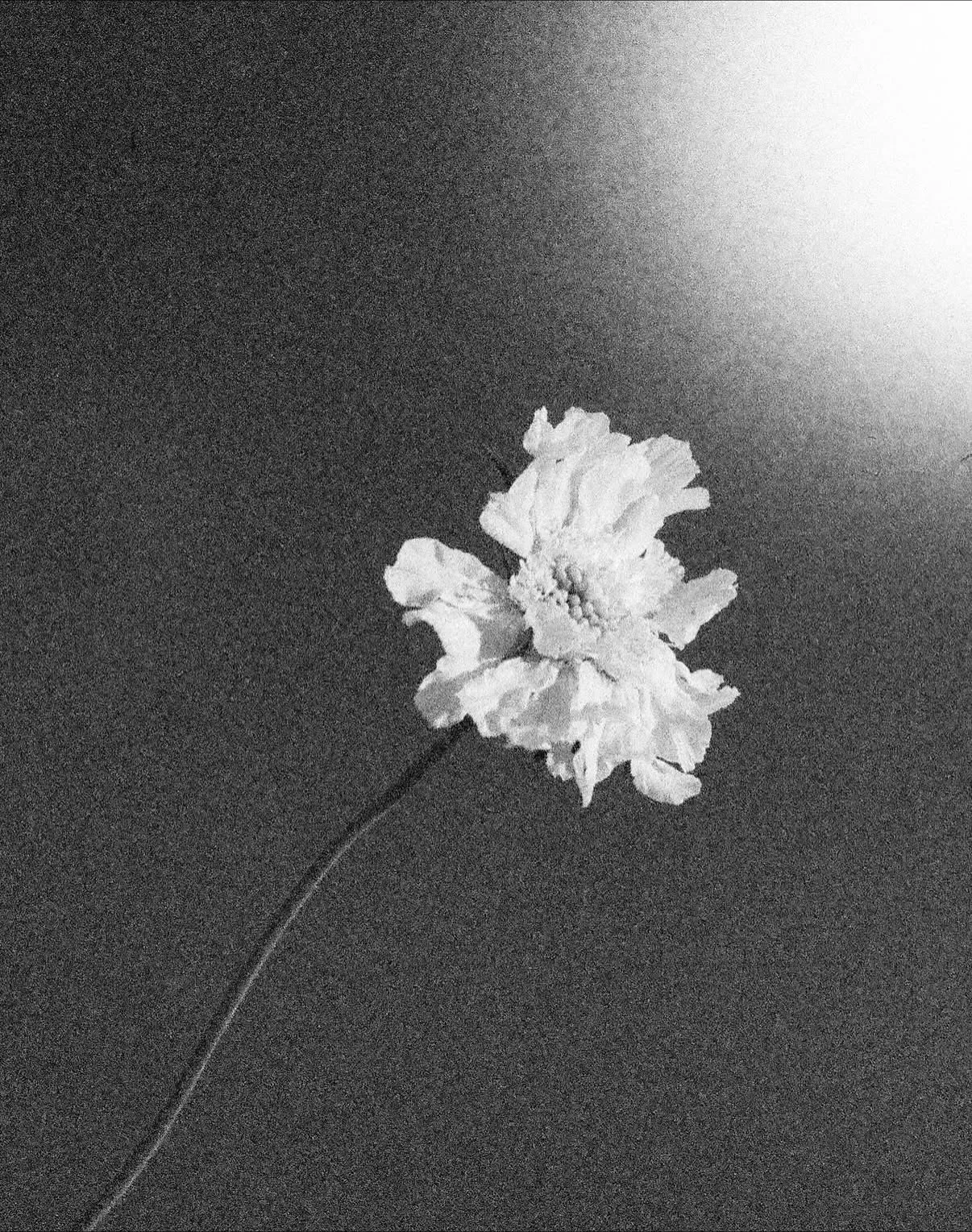 Work in progress with @martin.brusewitz